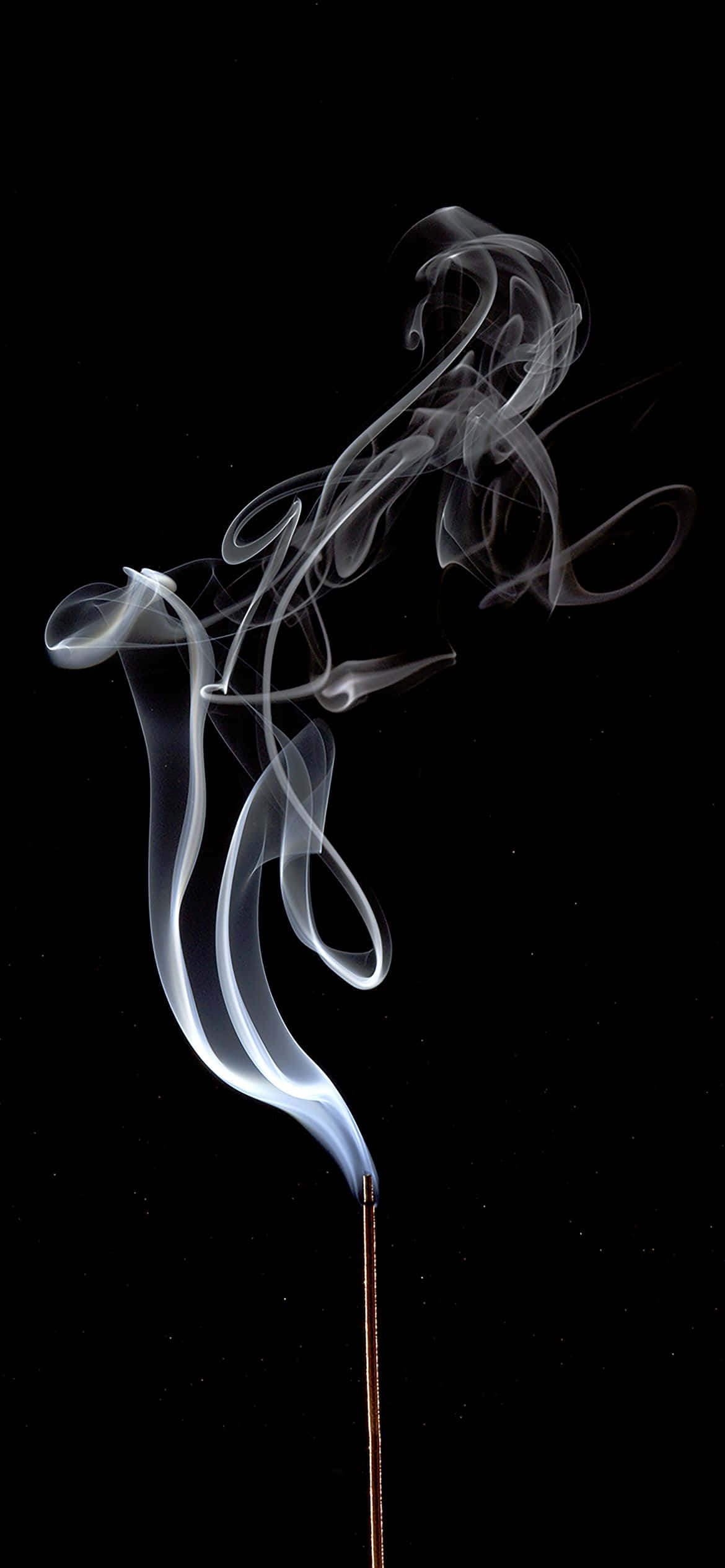 1170x2532 Креативный снимок белого дыма Обои
