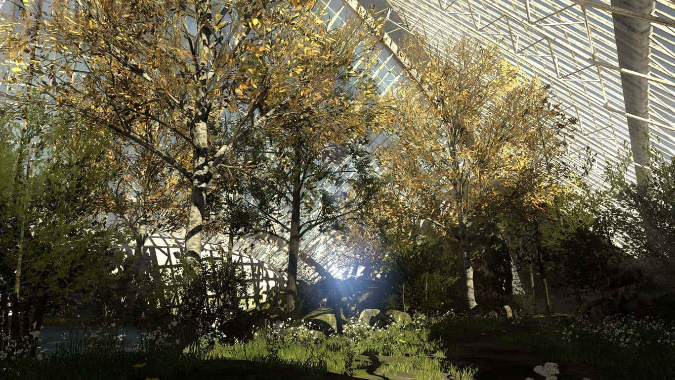1366x768 The Talos Principle Геенна Лес Фон Обои