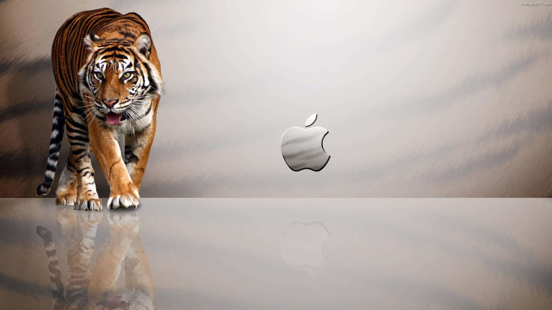 1920x1080 Обои Apple с тигриными полосами Обои