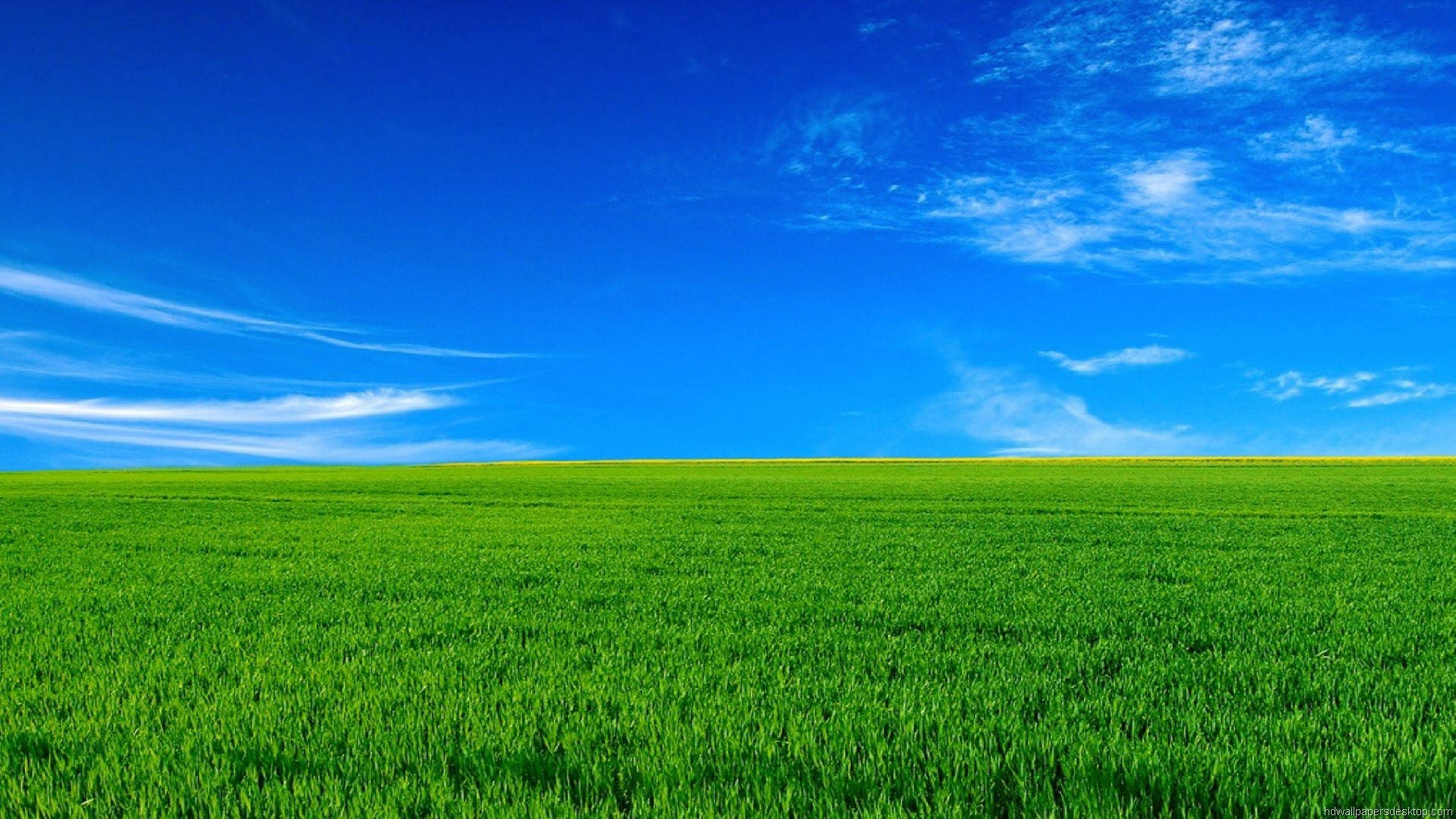 1920x1080 Full HD Природа Зеленая Трава Голубое Небо Обои