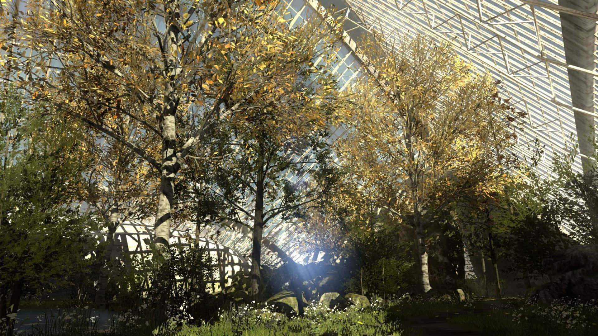 1920x1080 The Talos Principle Лесной фон с буйной зеленью Обои