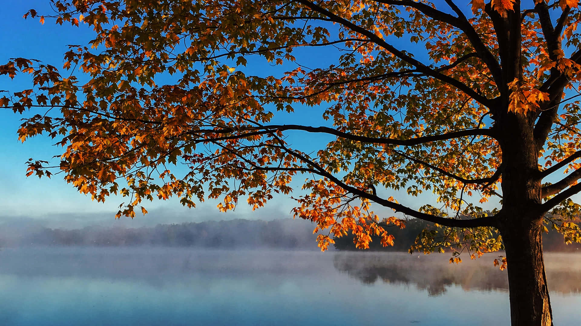 Осенний фон 3840 x 2160 Обои