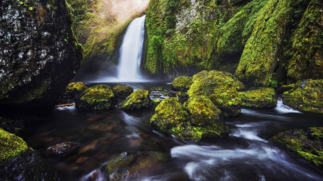 4K Природа Мшистые Камни Обои