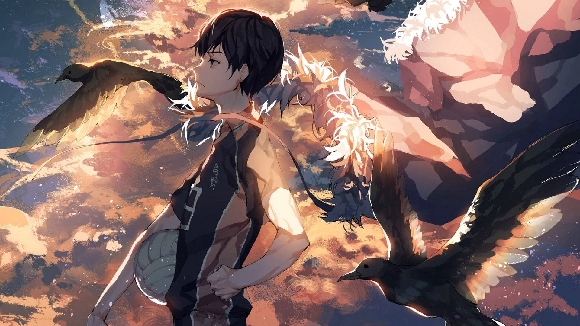 Кageyama Haikyuu для рабочего стола Обои