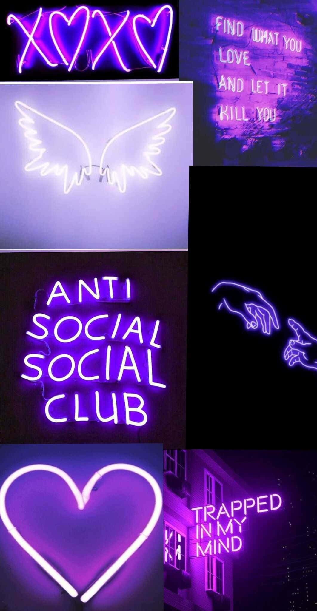 коллекция неоновых вывесок со словами вроде anti social club Обои