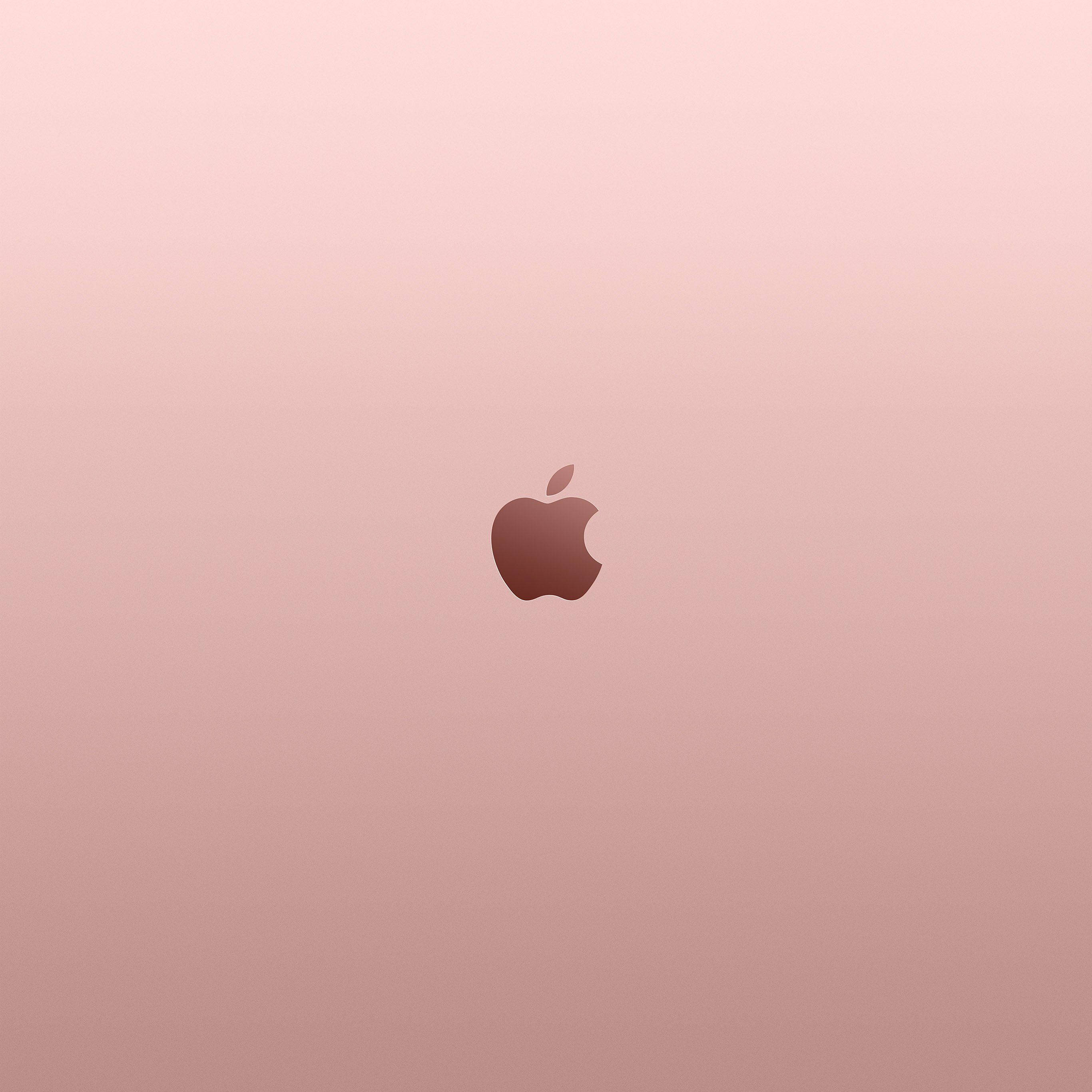 Розовое золото эстетичный логотип Apple Обои