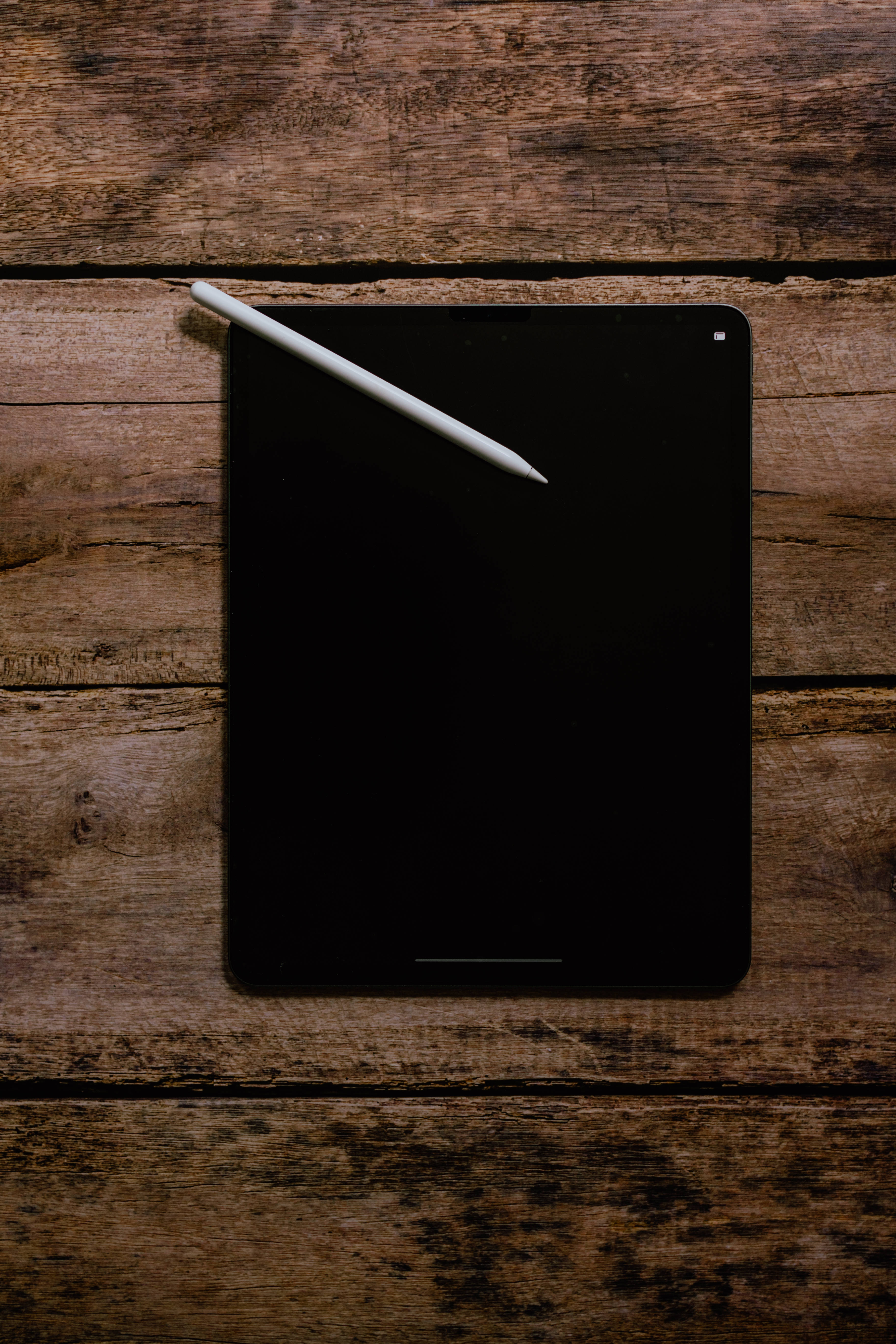 Apple iPad Pro на дереве Обои