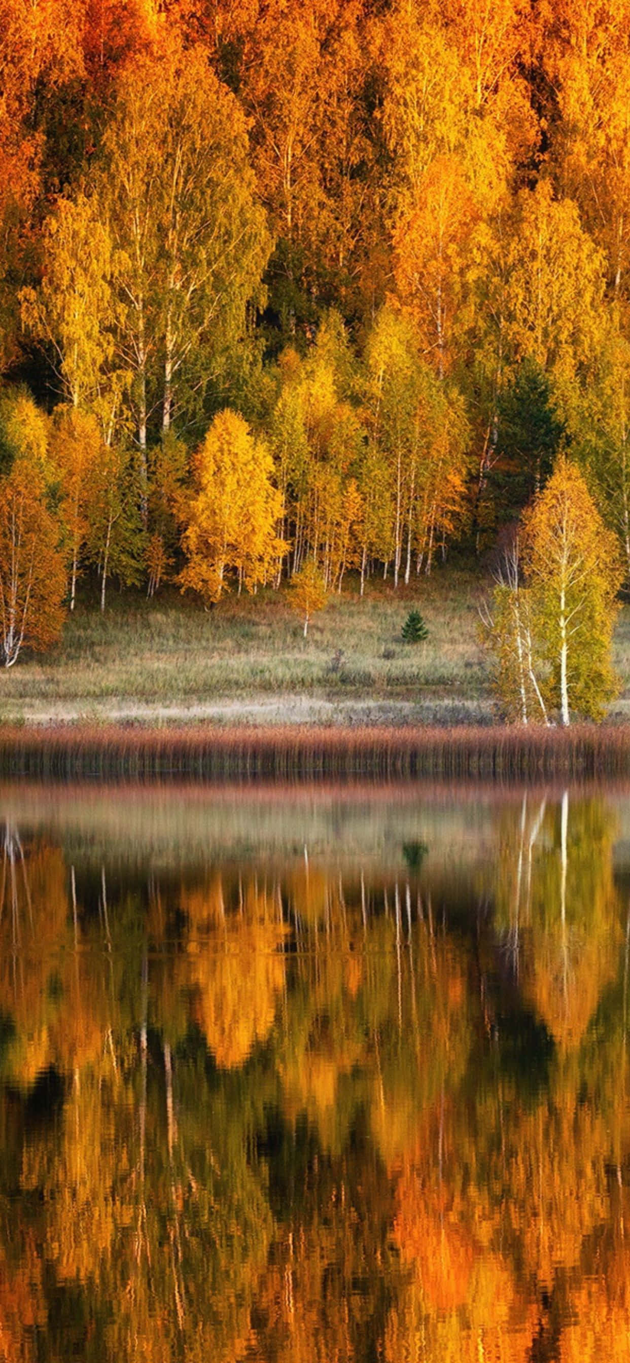 Приготовьтесь к осени с Apple iPhone XS Max Обои