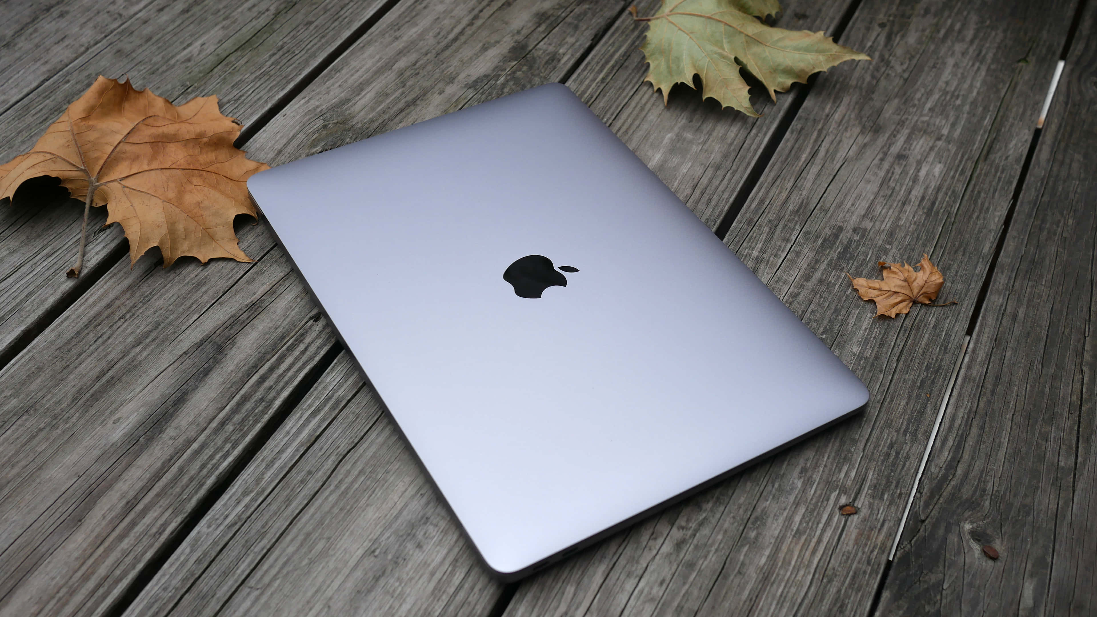 Белый ноутбук Apple MacBook Обои
