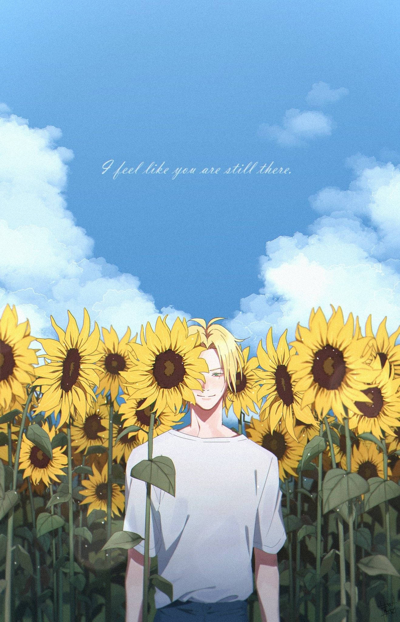 Banana Fish: Эш Линкс и подсолнухи Обои