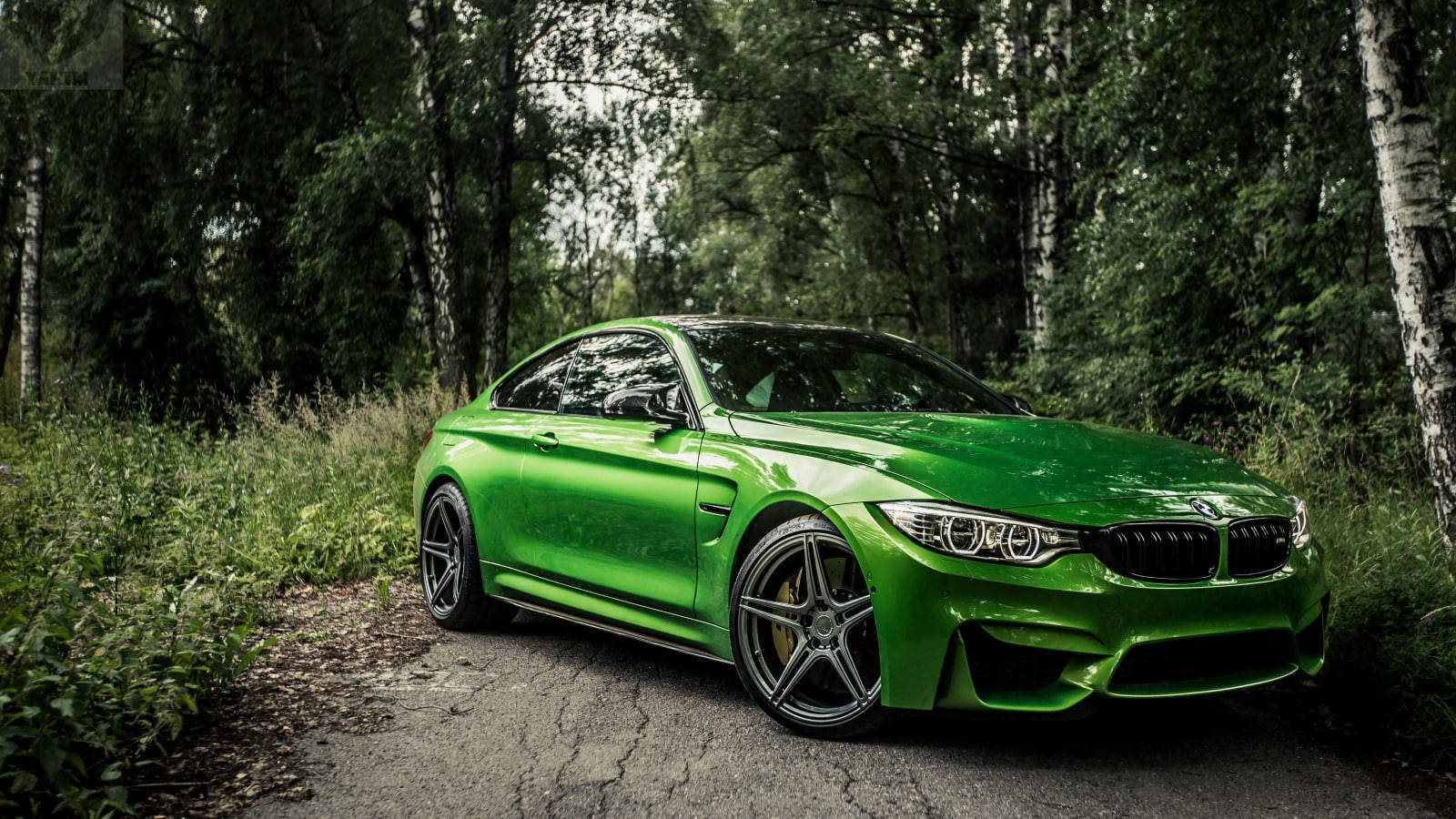 Величественный зеленый BMW M4, ревущий в лесу Обои