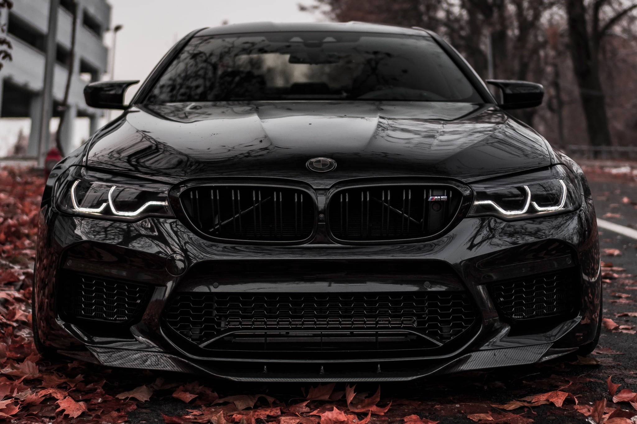 Блестящий черный BMW M5 на ноутбуке Обои