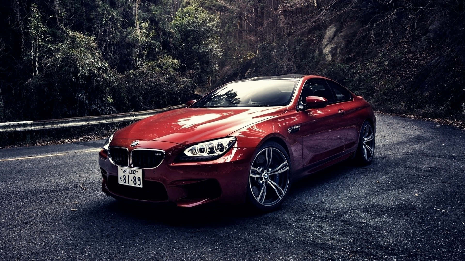 Обои BMW на дороге среди леса Обои
