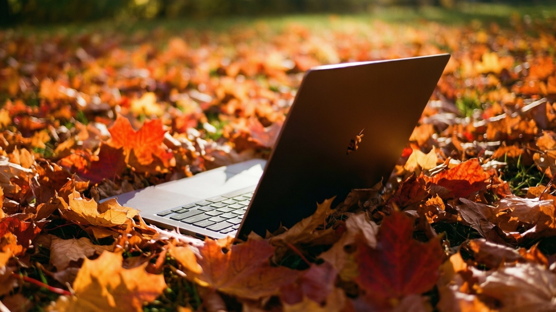 Уютный Chromebook осенью Обои