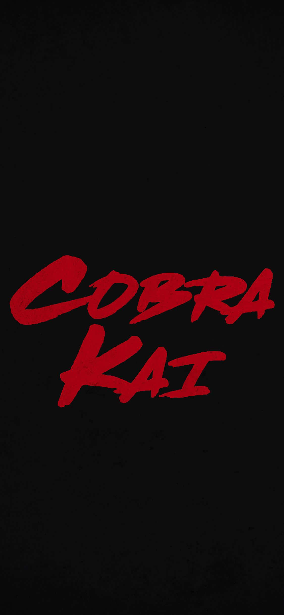 Фон с названием Cobra Kai для iPhone XR Обои