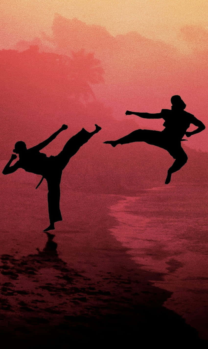 Cobra Kai iPhone Xr Силуэт боя Заставка Обои
