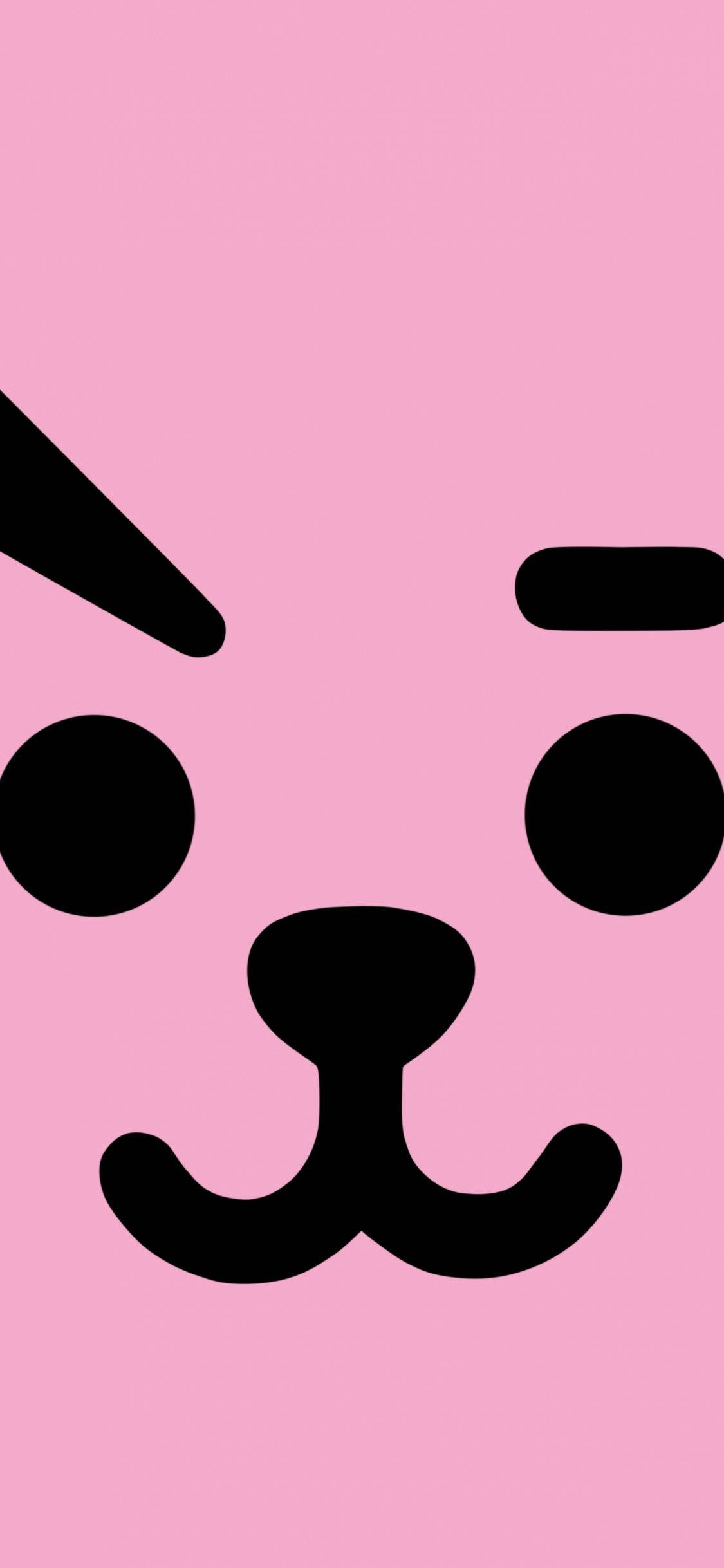 Cooky Bt21 анфас Обои