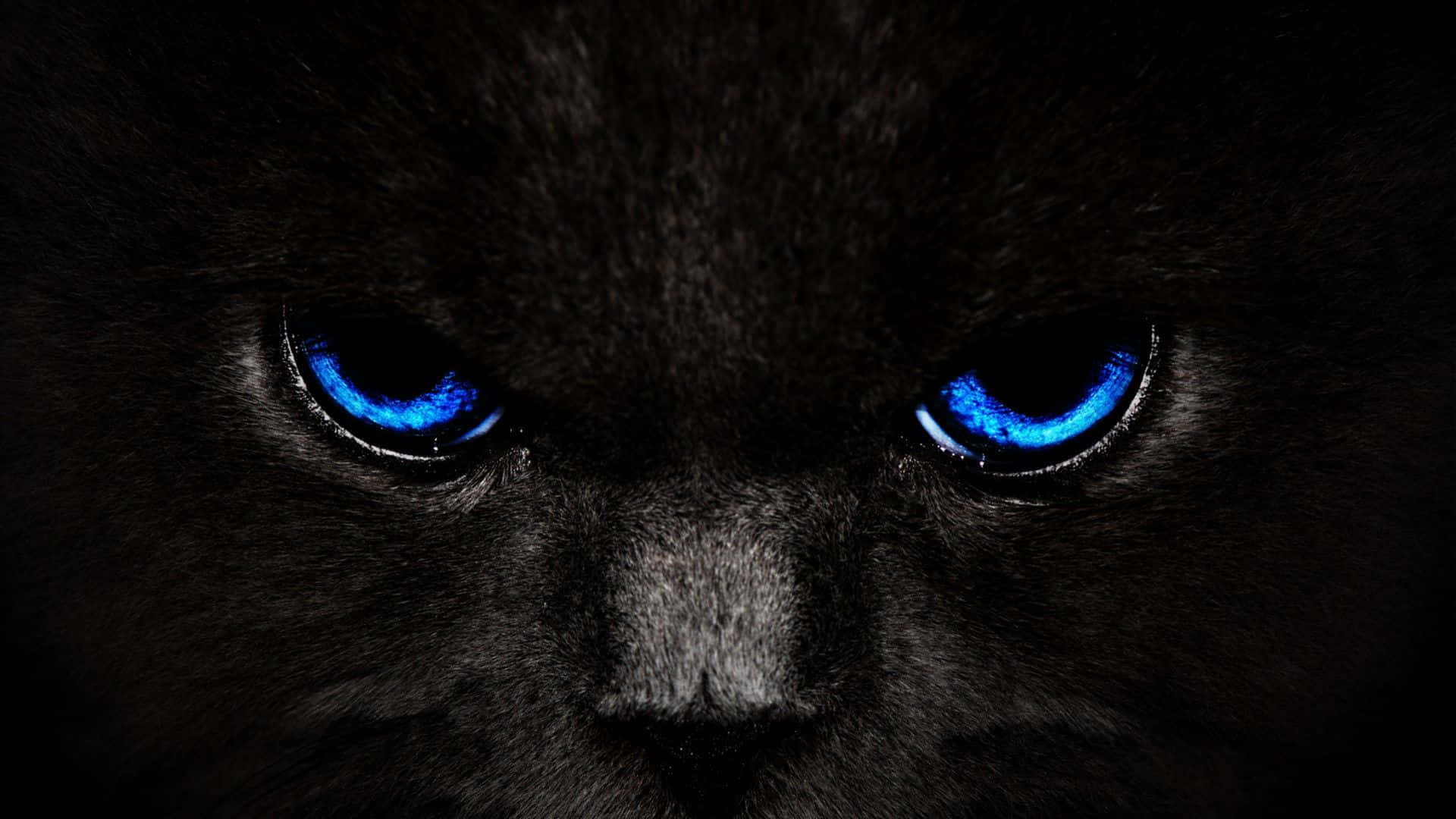Откройте для себя красоту и динамику Cool Black Обои