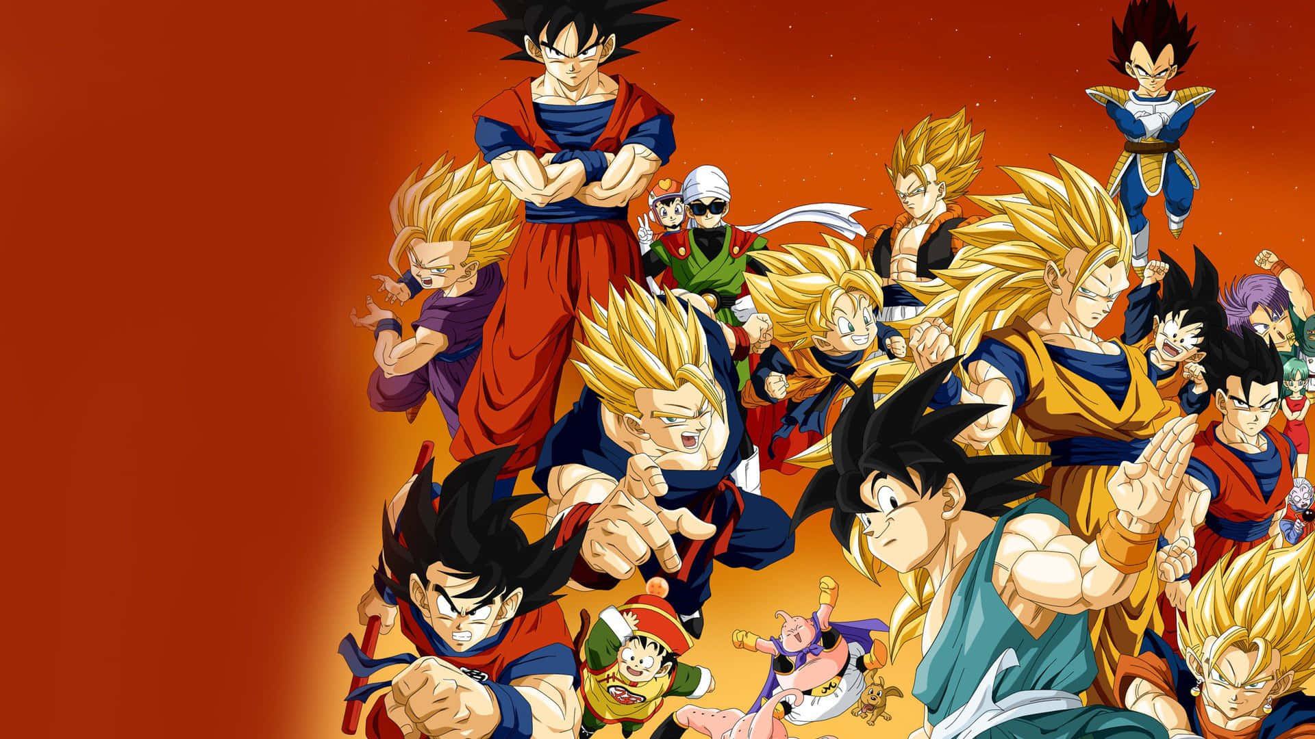 Гоку сражается с Бирюсом, Богом Разрушения в Dragon Ball Super Обои