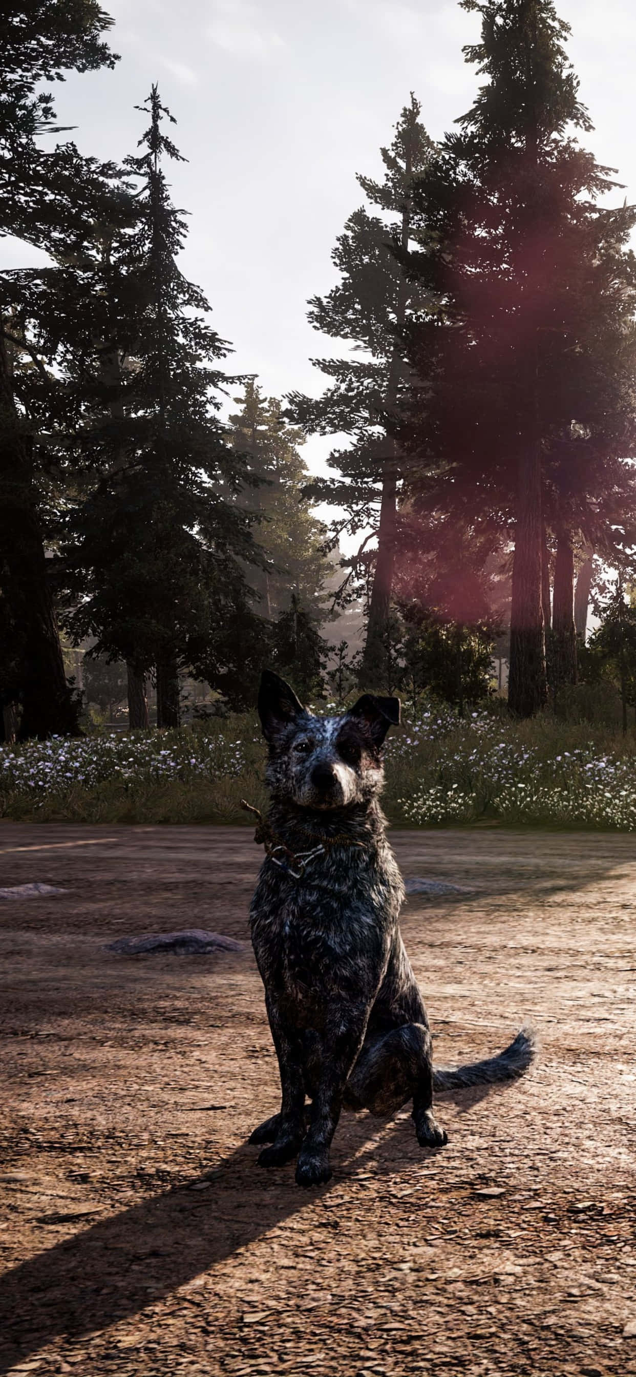 Погрузитесь в захватывающий мир Far Cry 5 на вашем iPhone Xs Max Обои