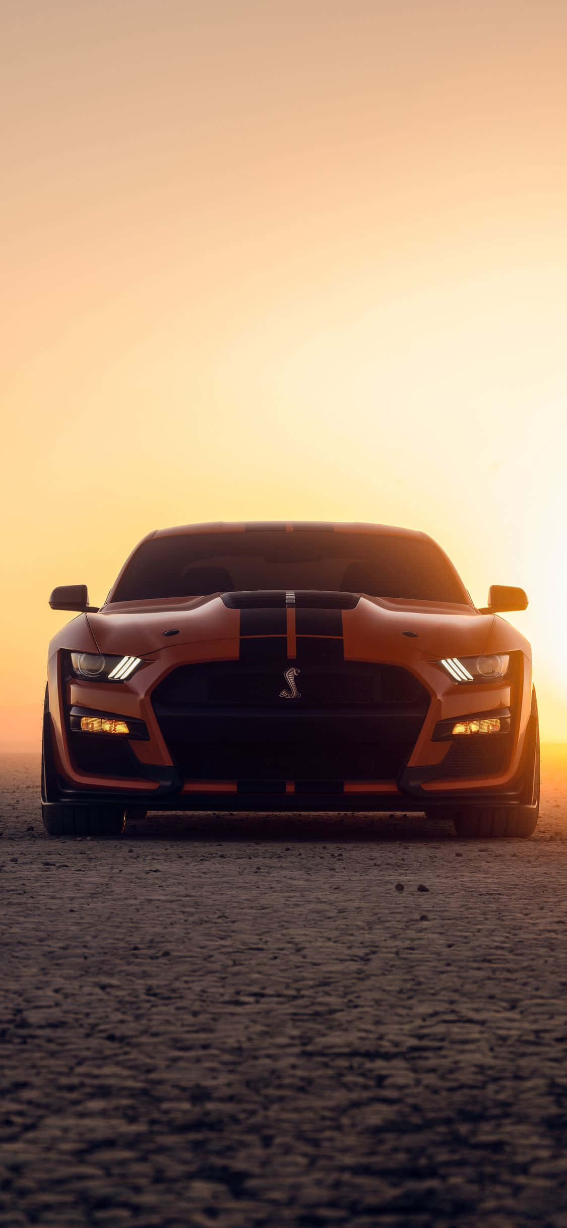 Ford Mustang GT стоит в пустыне на закате Обои