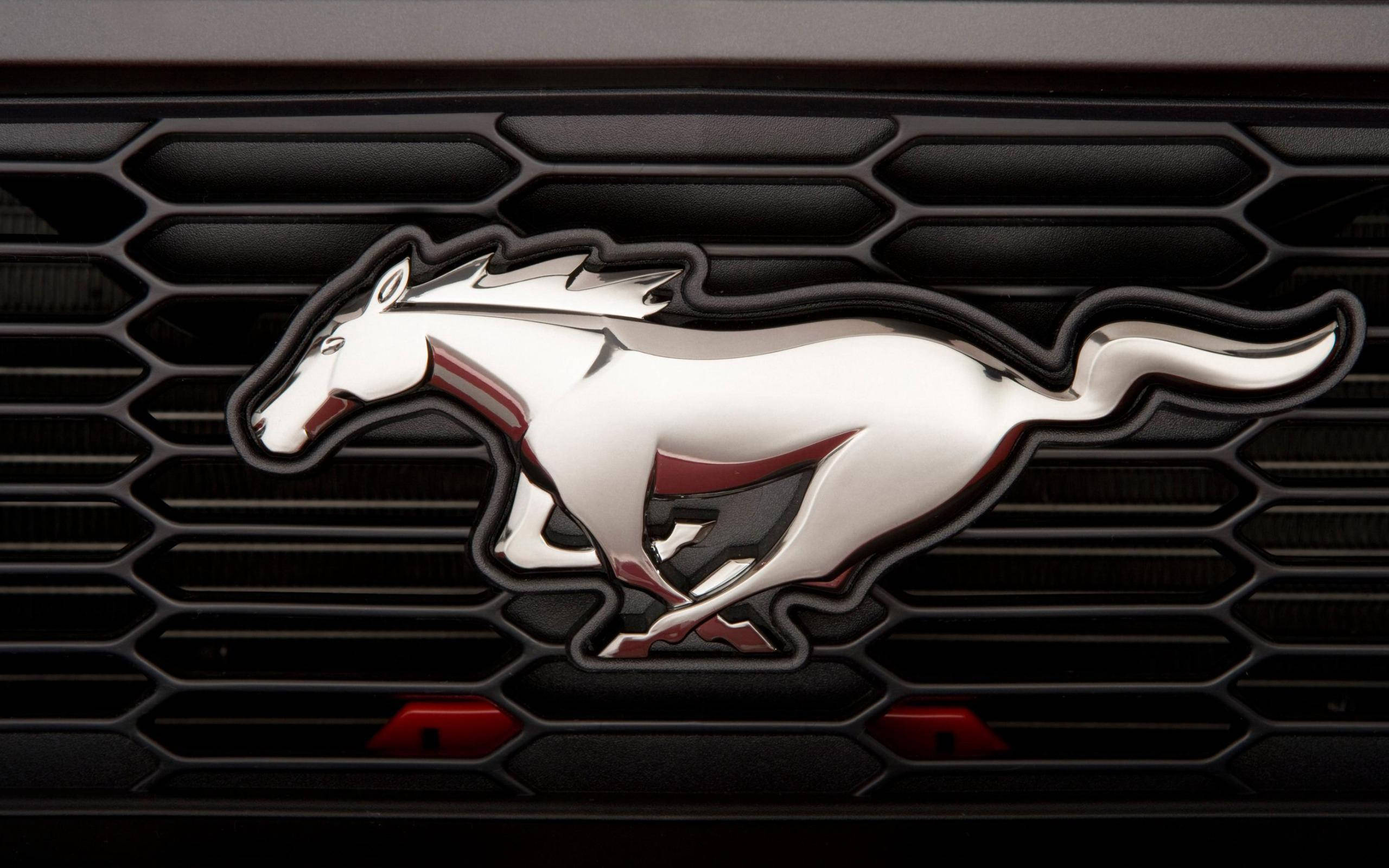 Логотип Ford Mustang HD — элегантность встречает мощь Обои