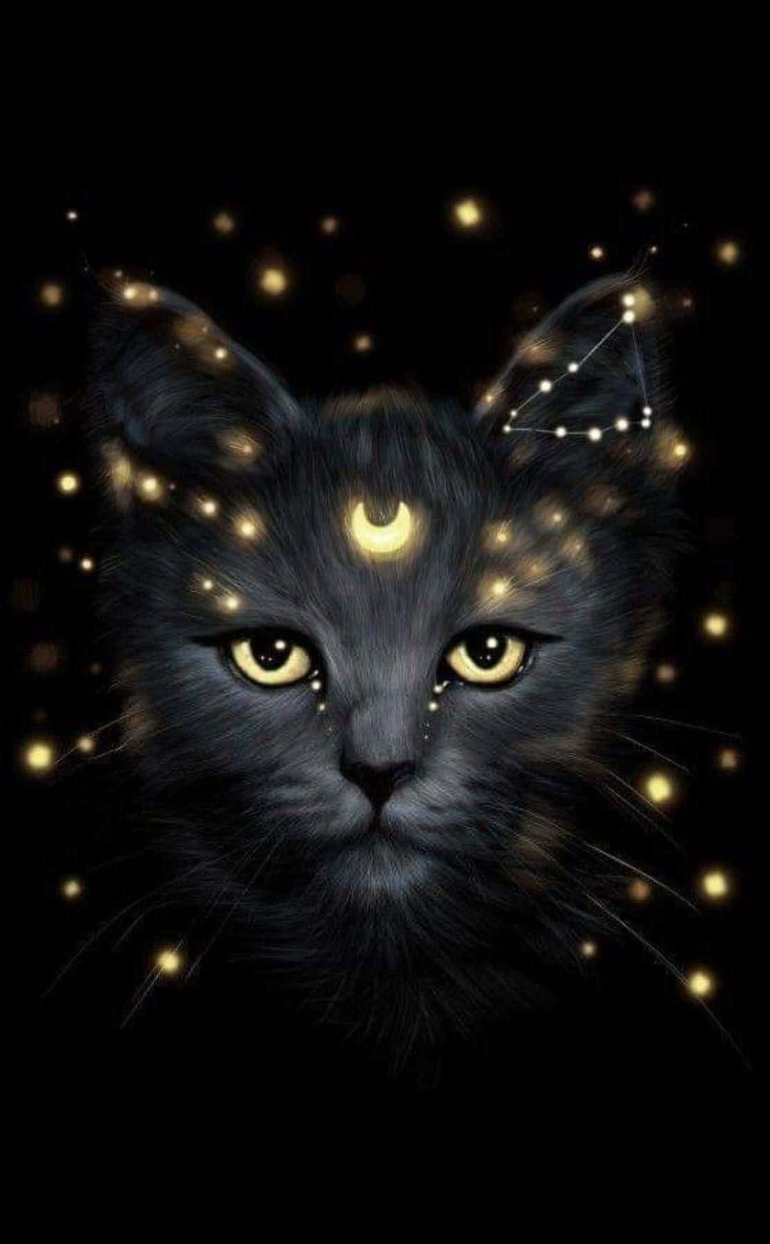 Отправляйтесь во Вселенную с Galaxy Cat Обои