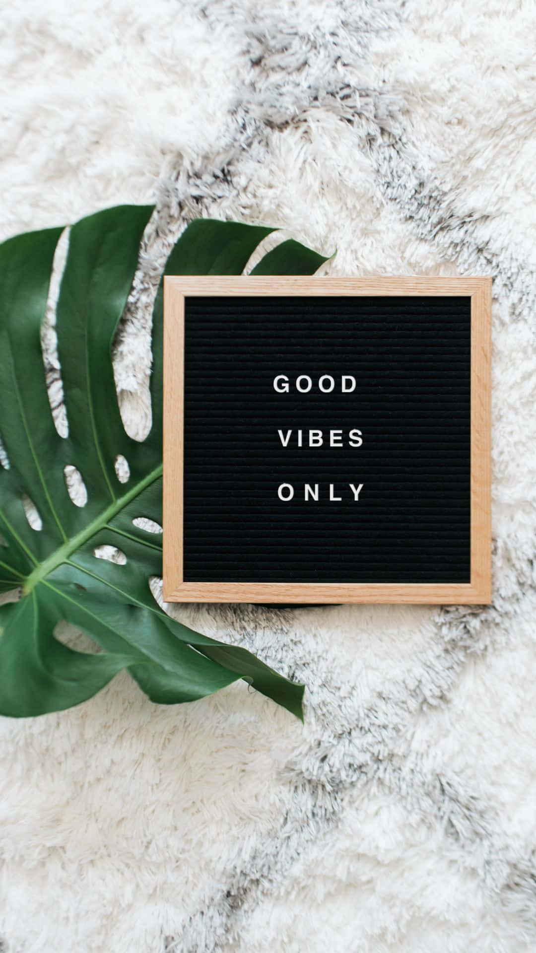 Лист монстеры Good Vibes iPhone Обои