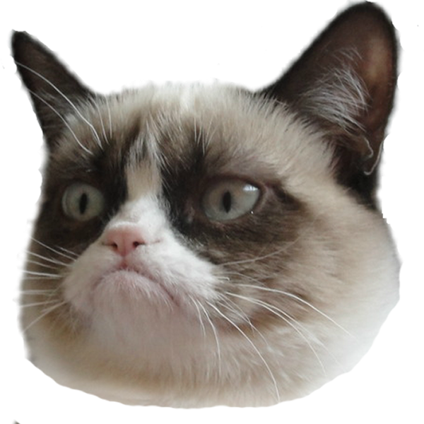 Grumpy Cat голова прозрачный фон.PNG Обои
