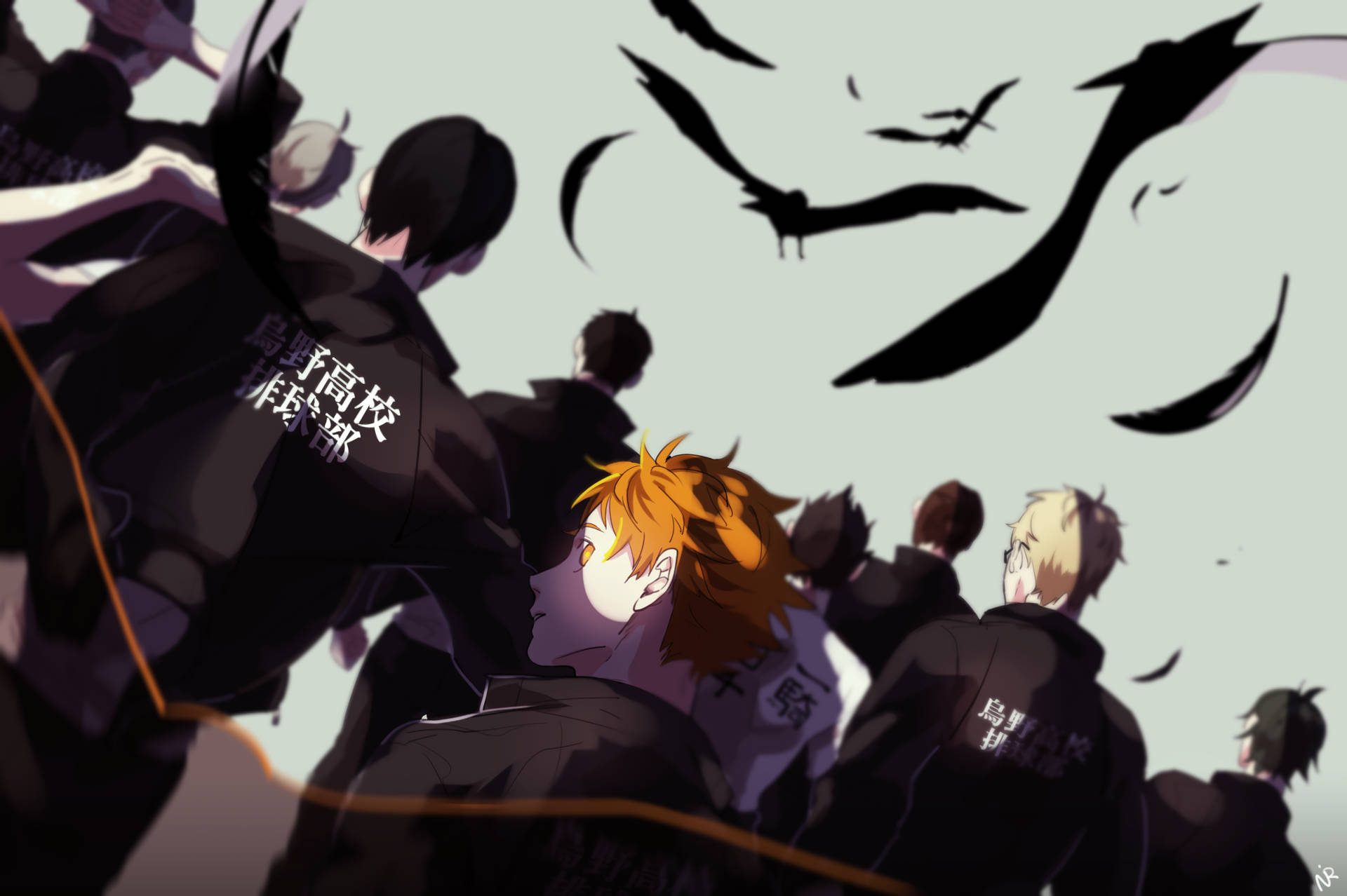Команда Карасуно Haikyuu для рабочего стола Обои