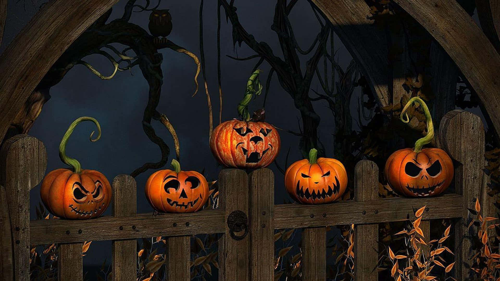 Фон для Halloween Teams с деревянным забором Обои