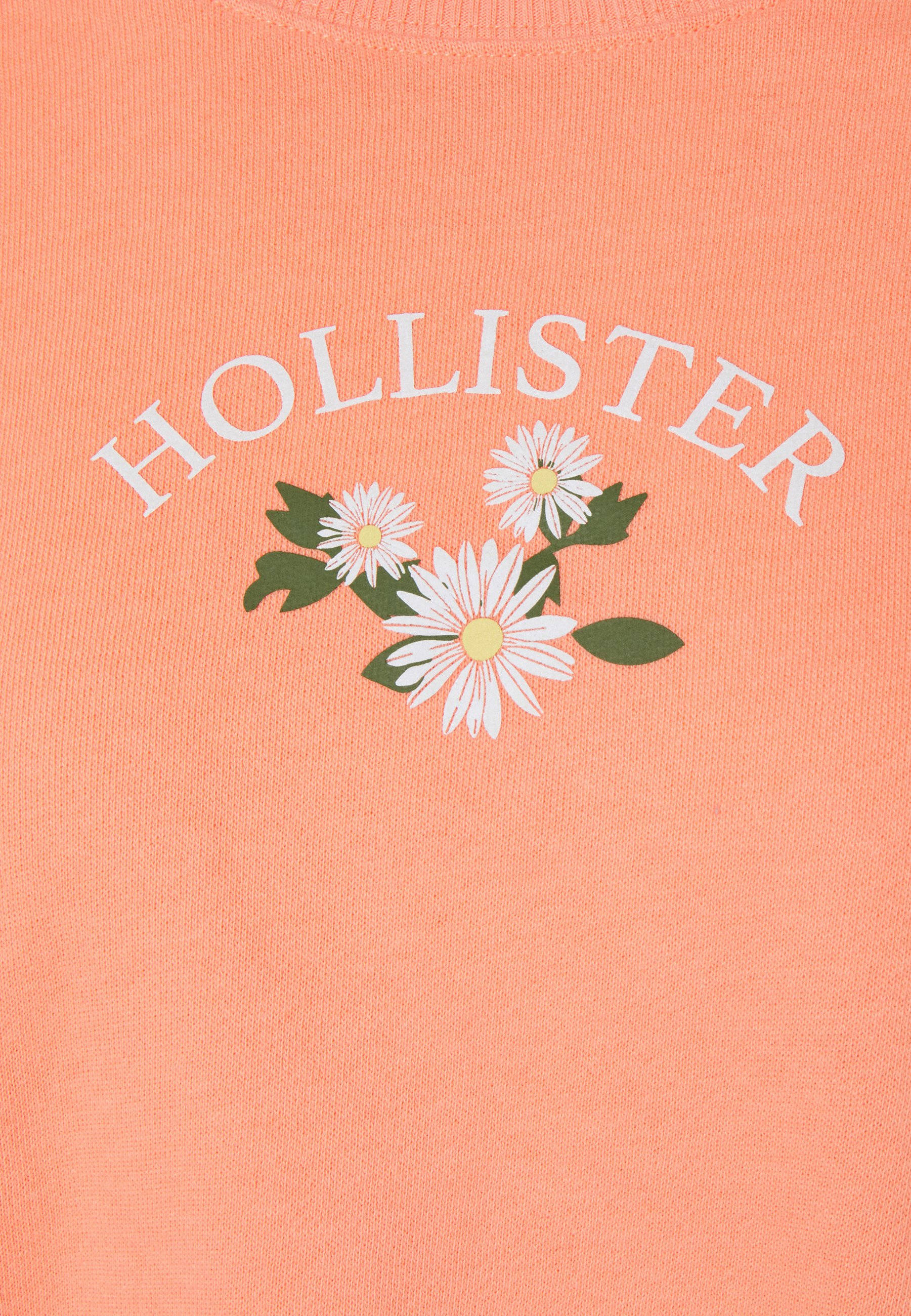 Иллюстрация Hollister с тремя белыми цветами Обои