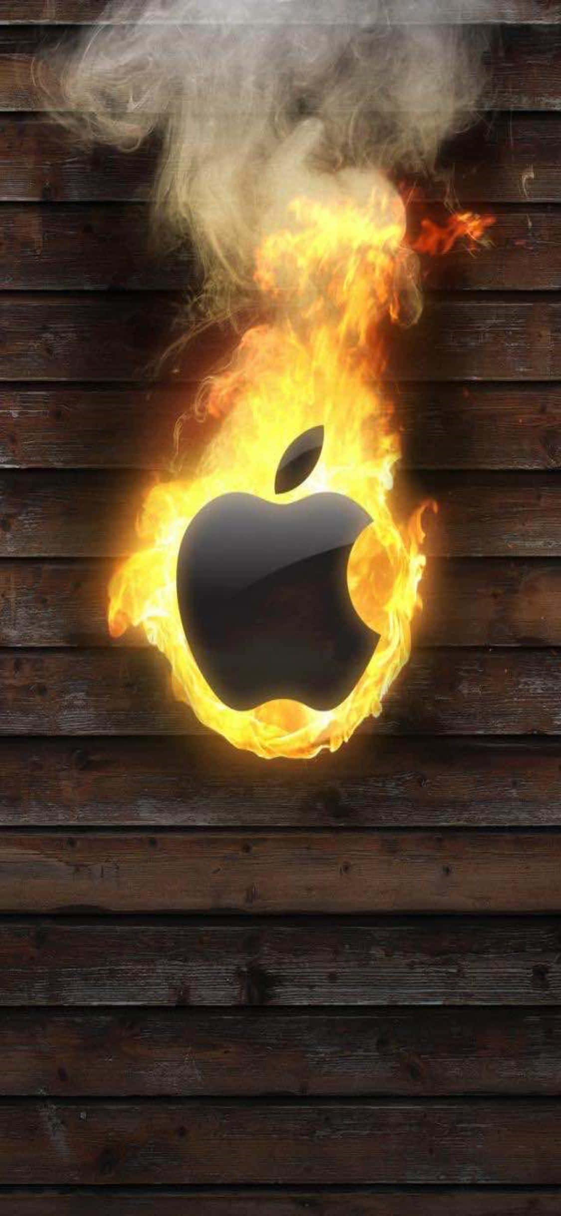 Потрясающее изображение, подчеркивающее дизайн iPhone 11. Обои