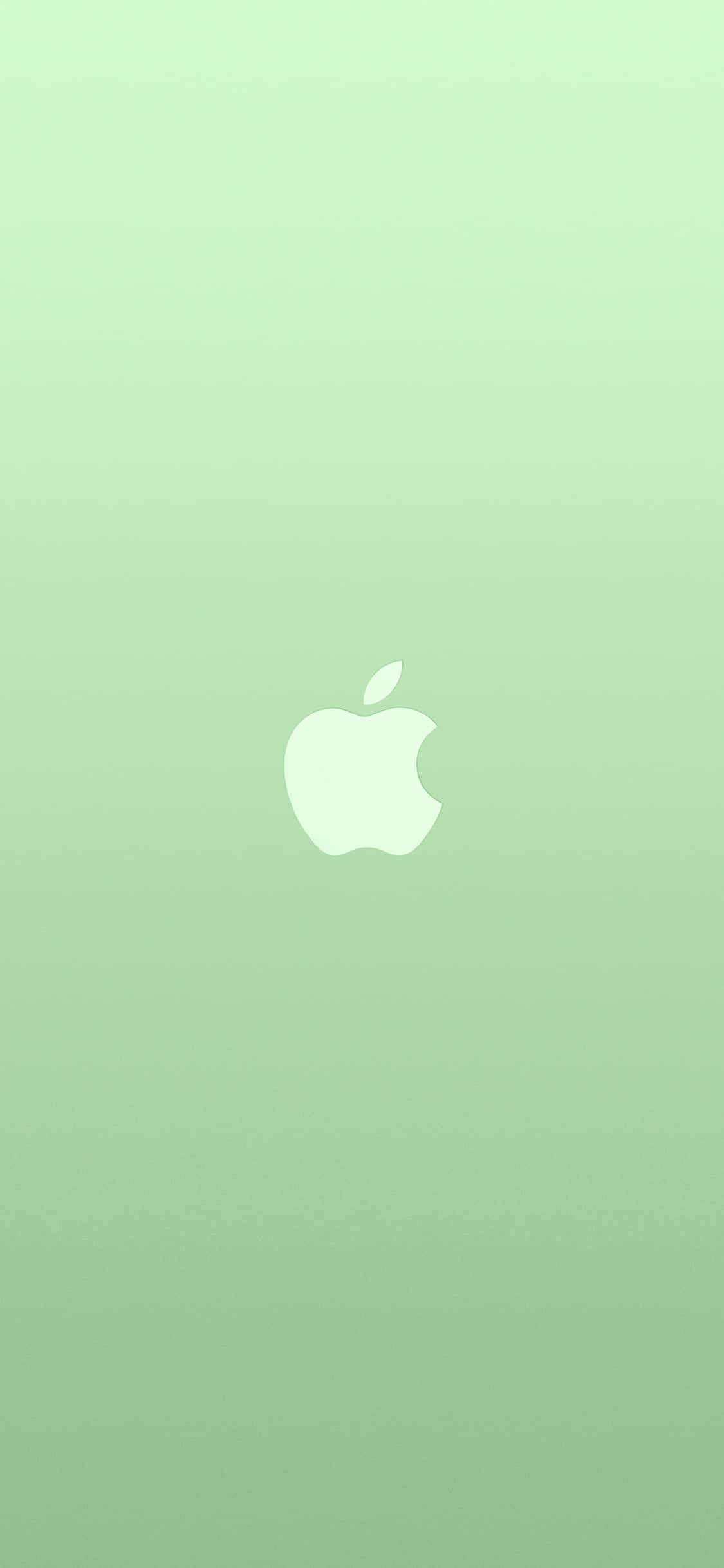 iPhone 11 Логотип Apple на зеленом фоне Обои