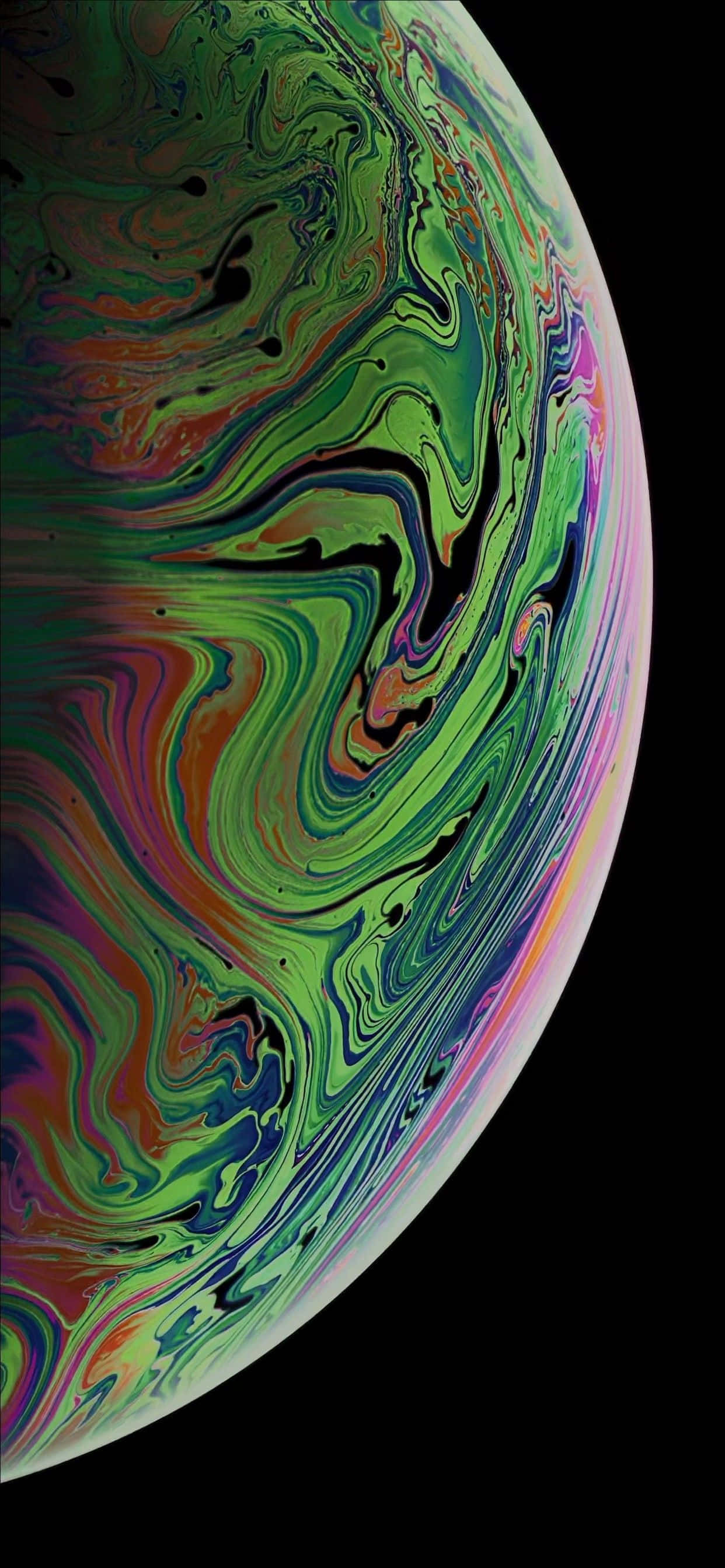Милые обои с коалой для iPhone Обои