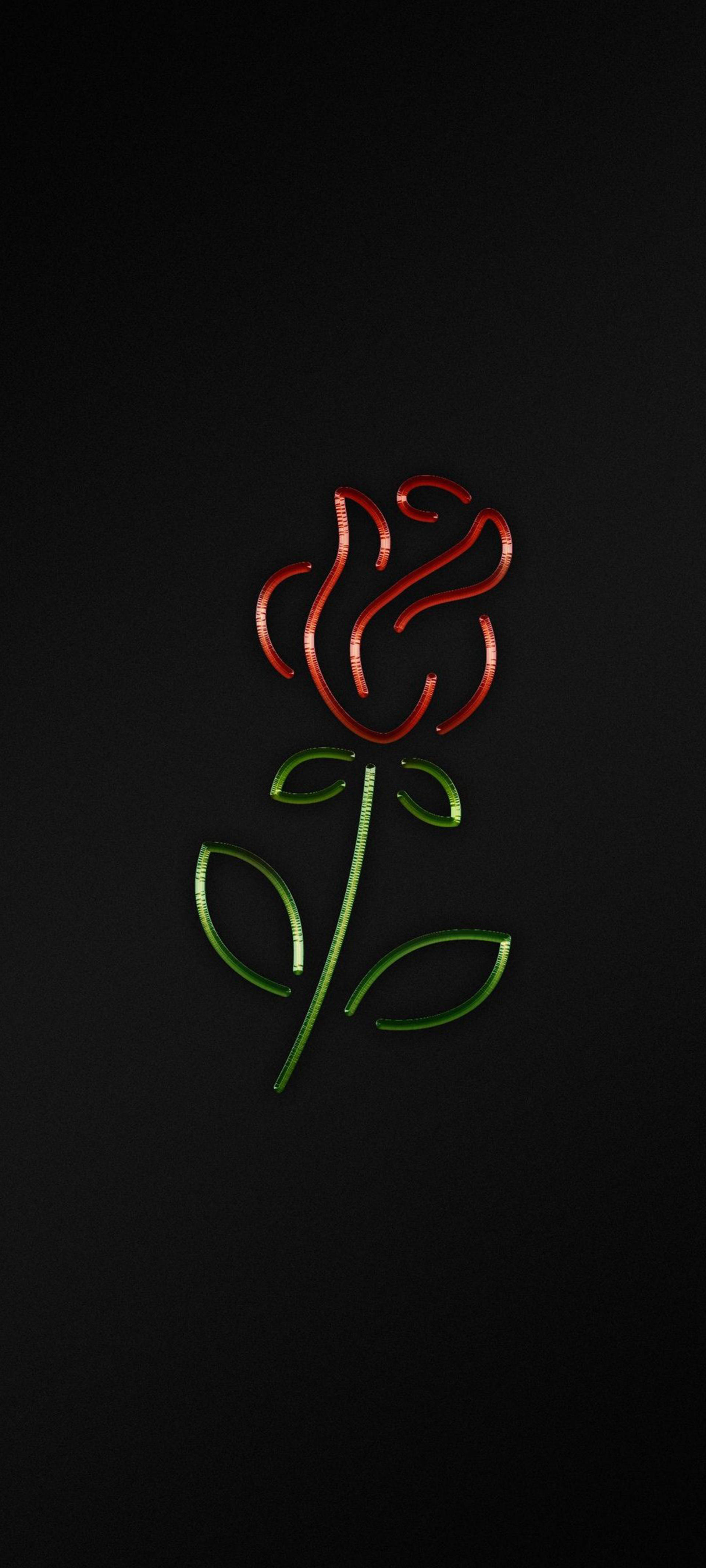 Чёрная роза iPhone Обои