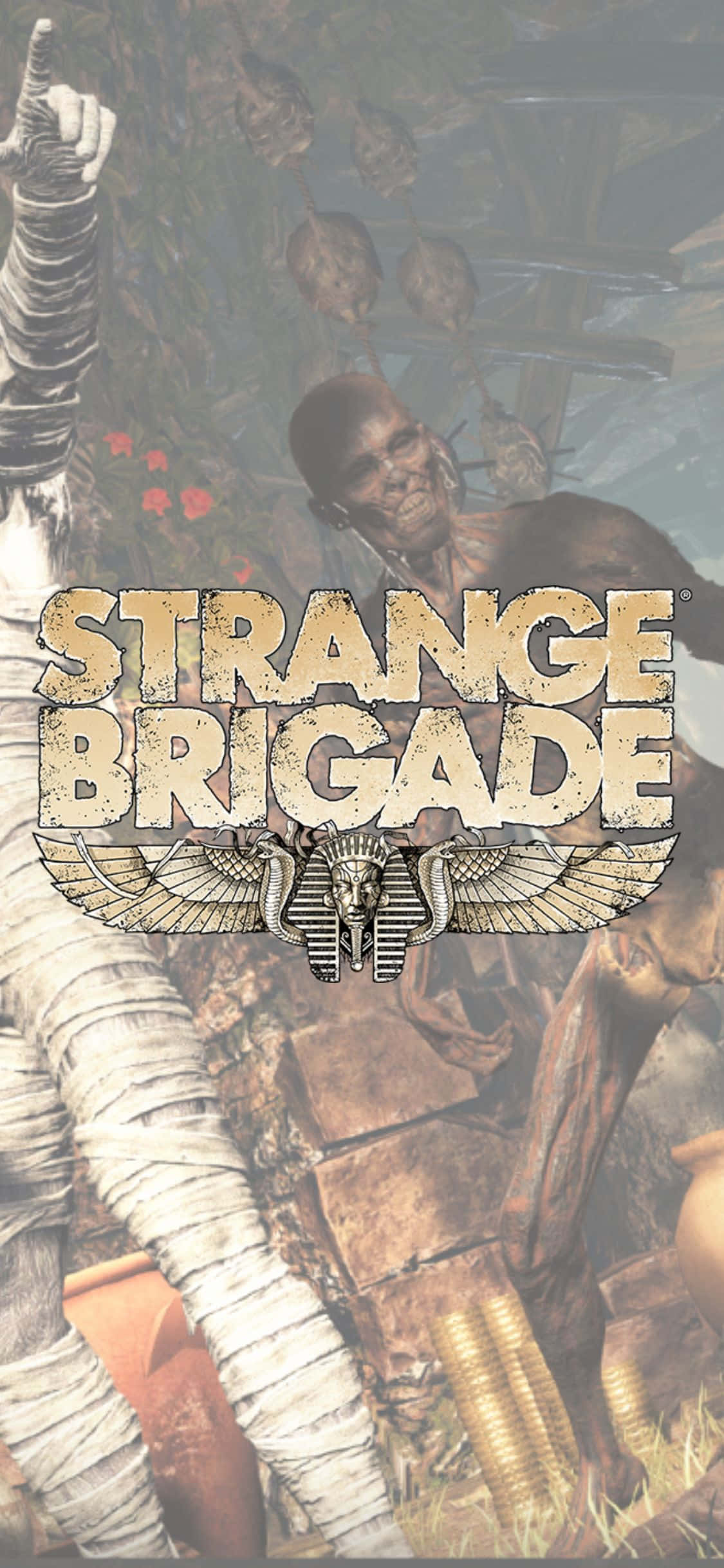 Скелет и замотанные зомби для iPhone X Strange Brigade фон Обои