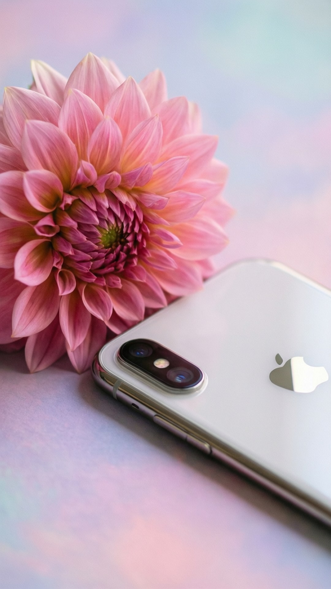 Цветочная элегантность iPhone XR Обои