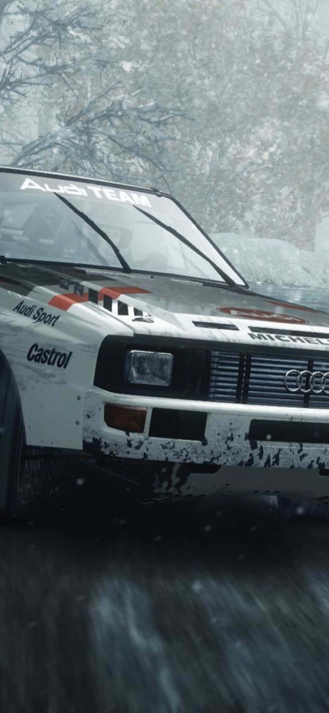 Покорите мир с iPhone Xs Dirt Rally Обои