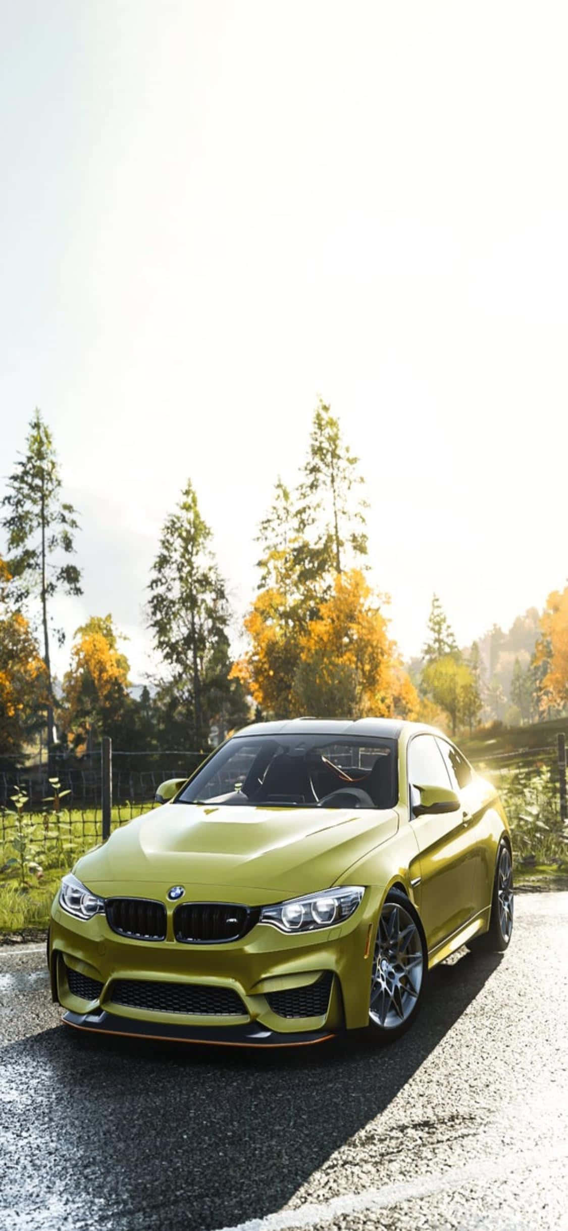 Форсаж: садитесь за руль iPhone Xs и мчитесь к победе в Forza Horizon 4 Обои