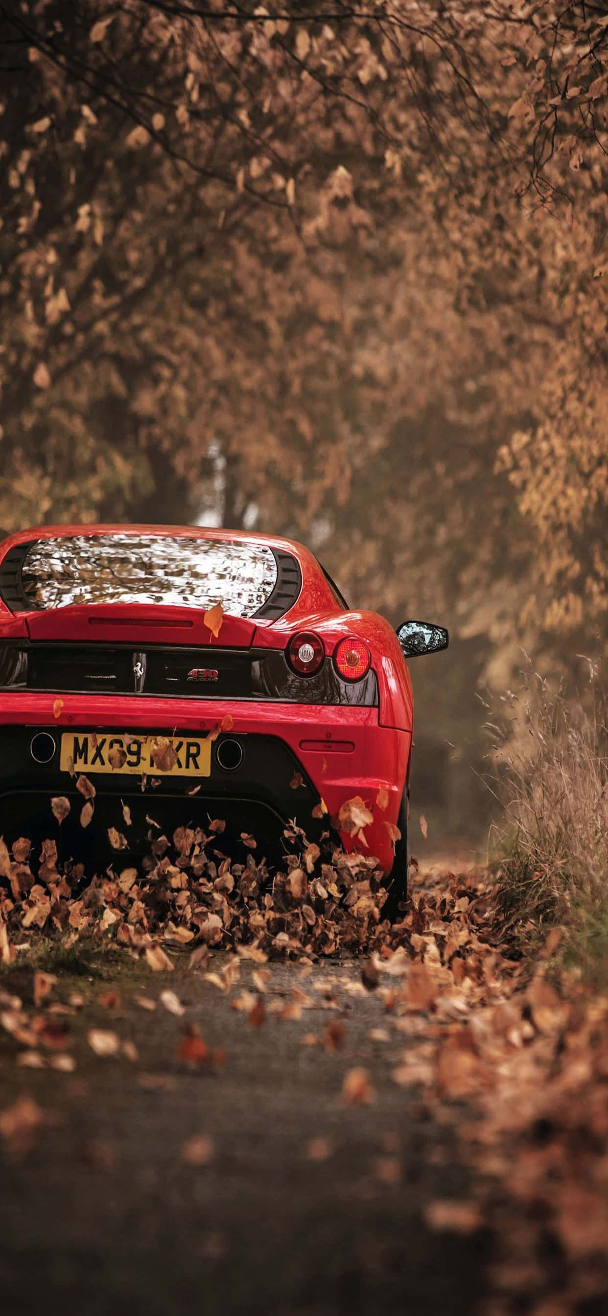 iPhone Xs Max Ferrari фон красный Ferrari F430 сухие листья Обои