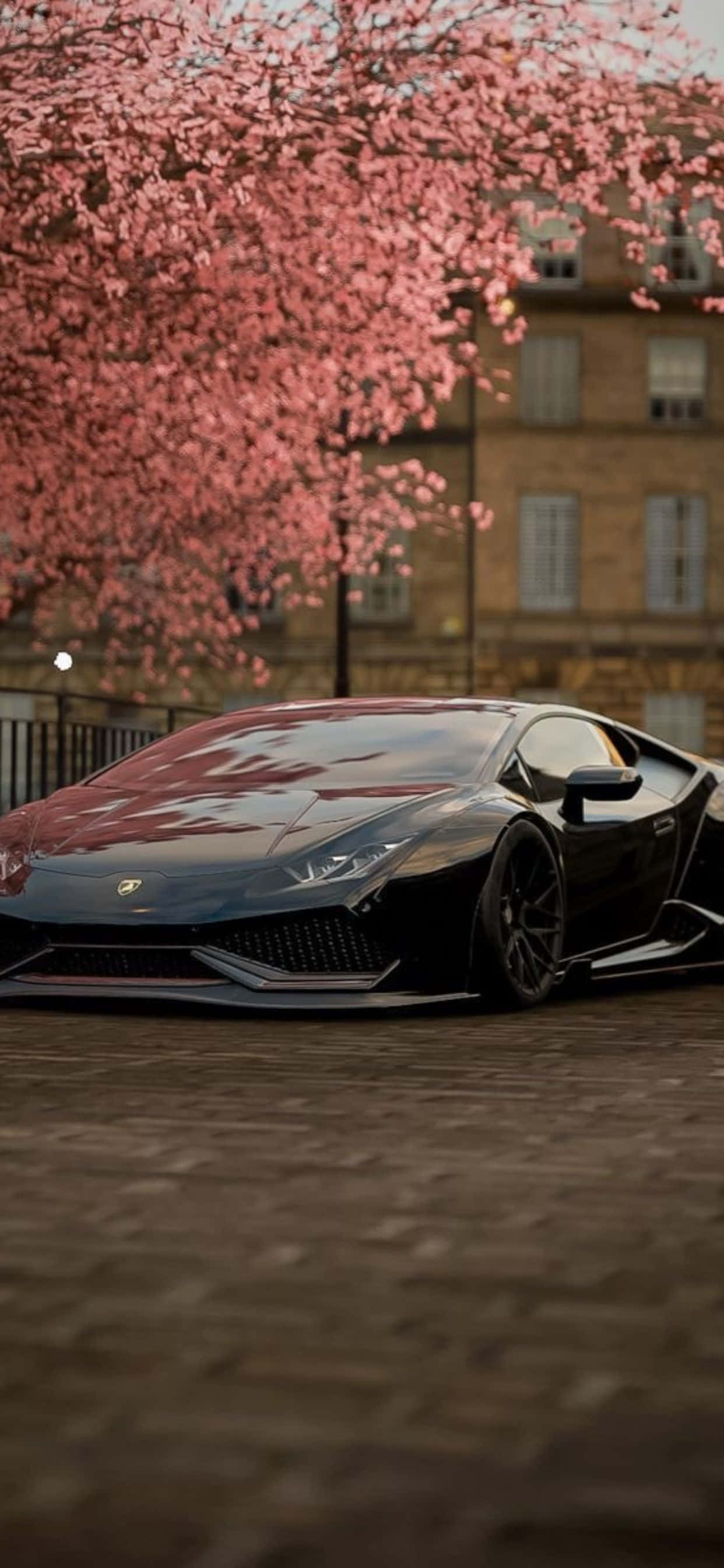 iPhone XS Max Lamborghini цветущая сакура фон Обои
