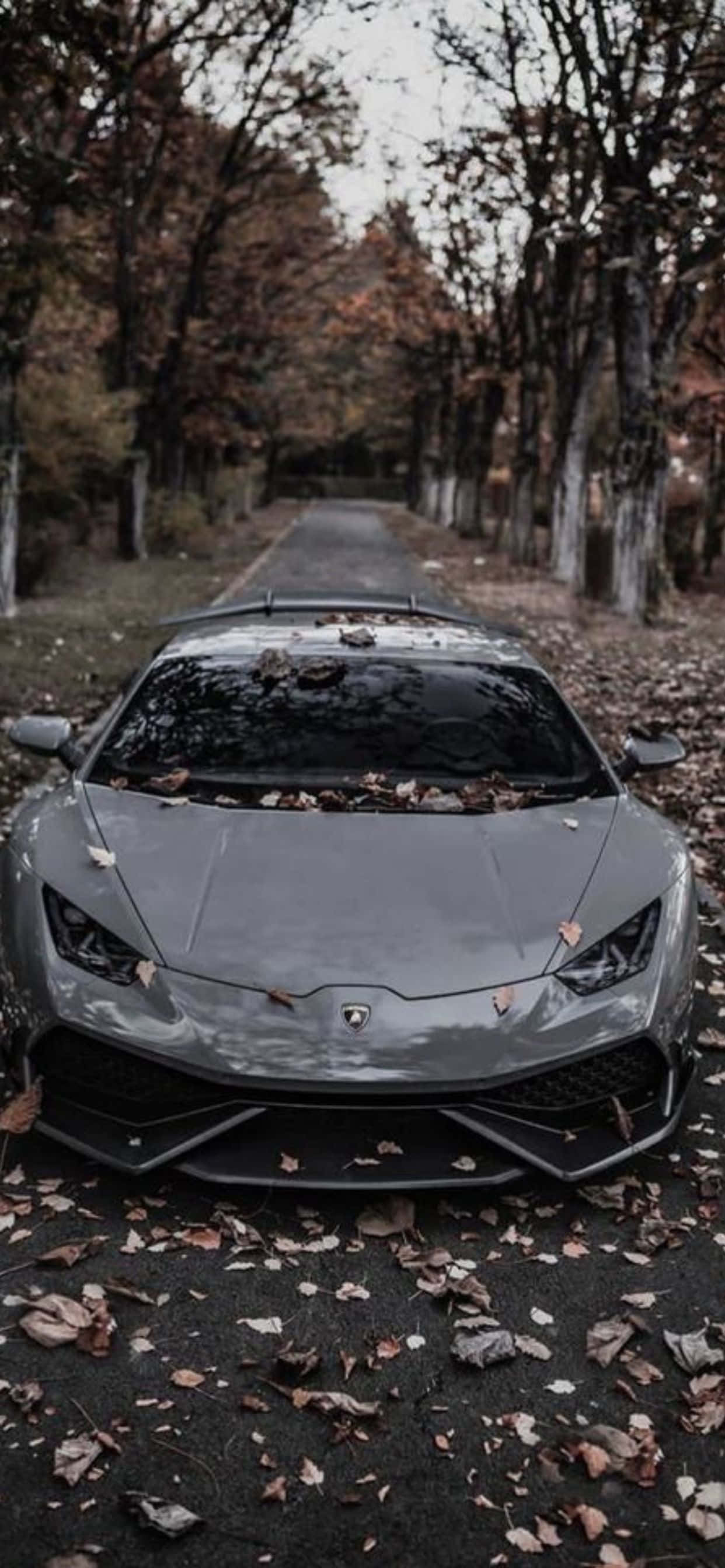 iPhone XS Max Lamborghini Huracan серый фон автомобиля Обои