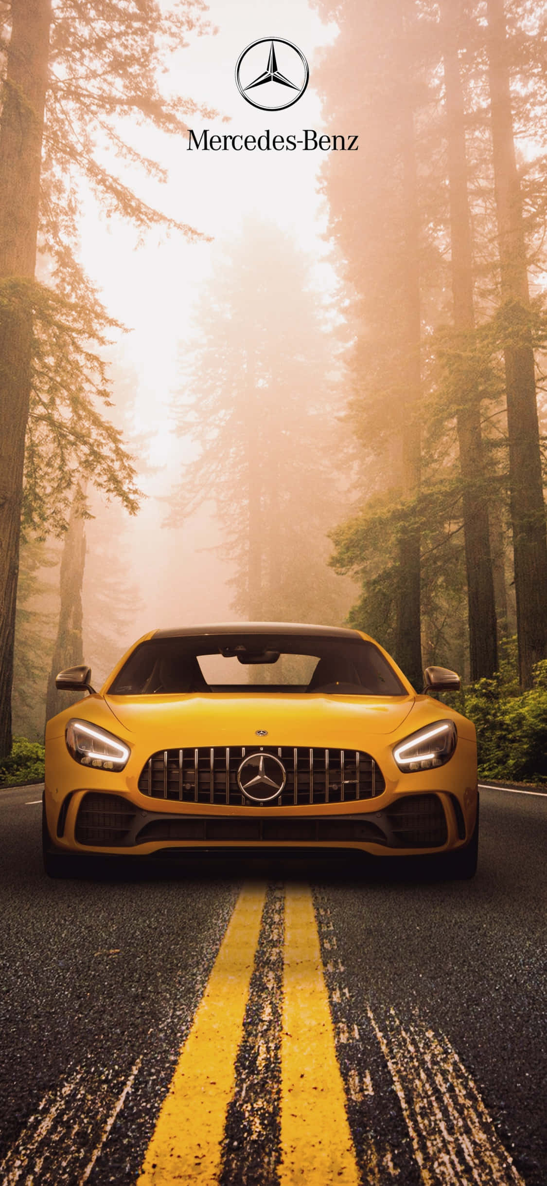 Желтый фон iPhone Xs Mercedes Amg в лесу Обои