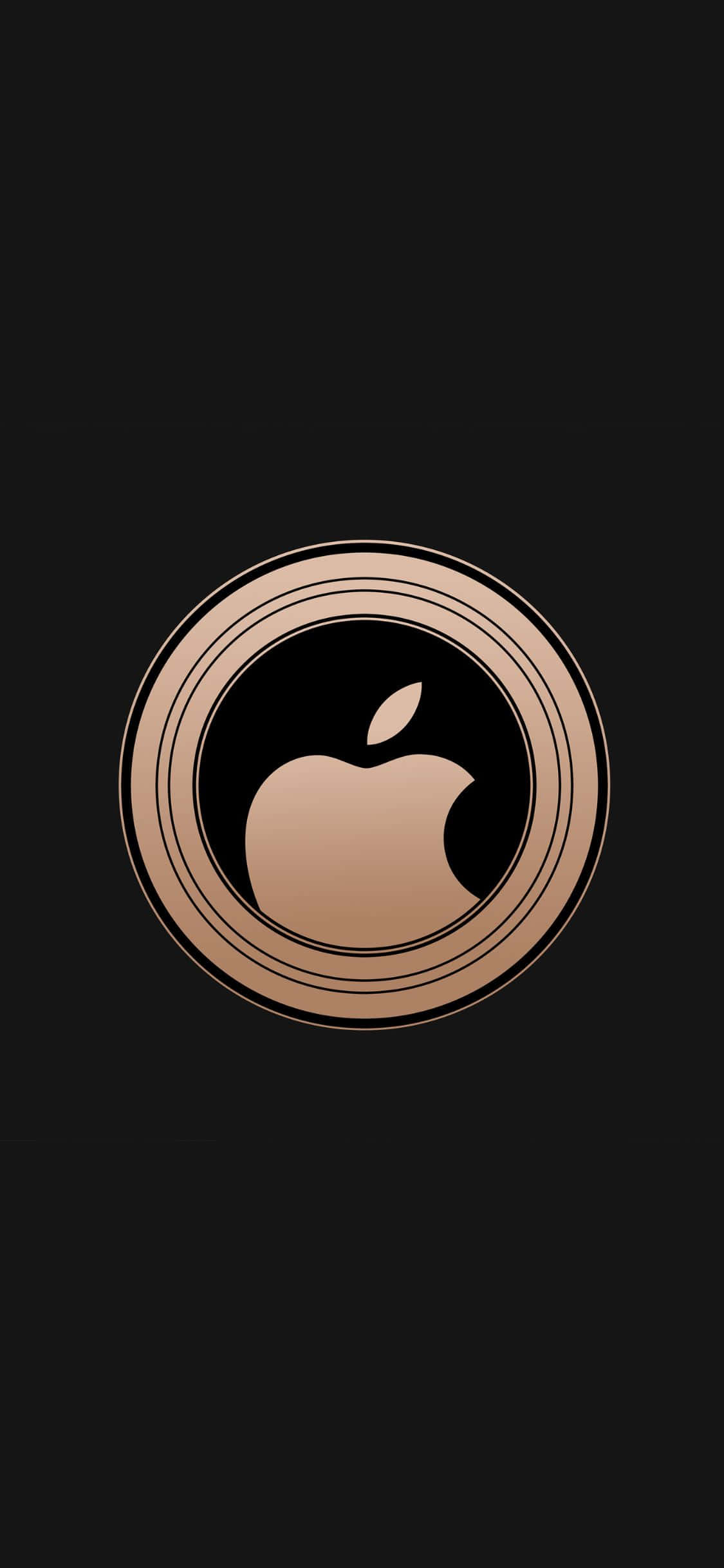 iPhone XS Обои