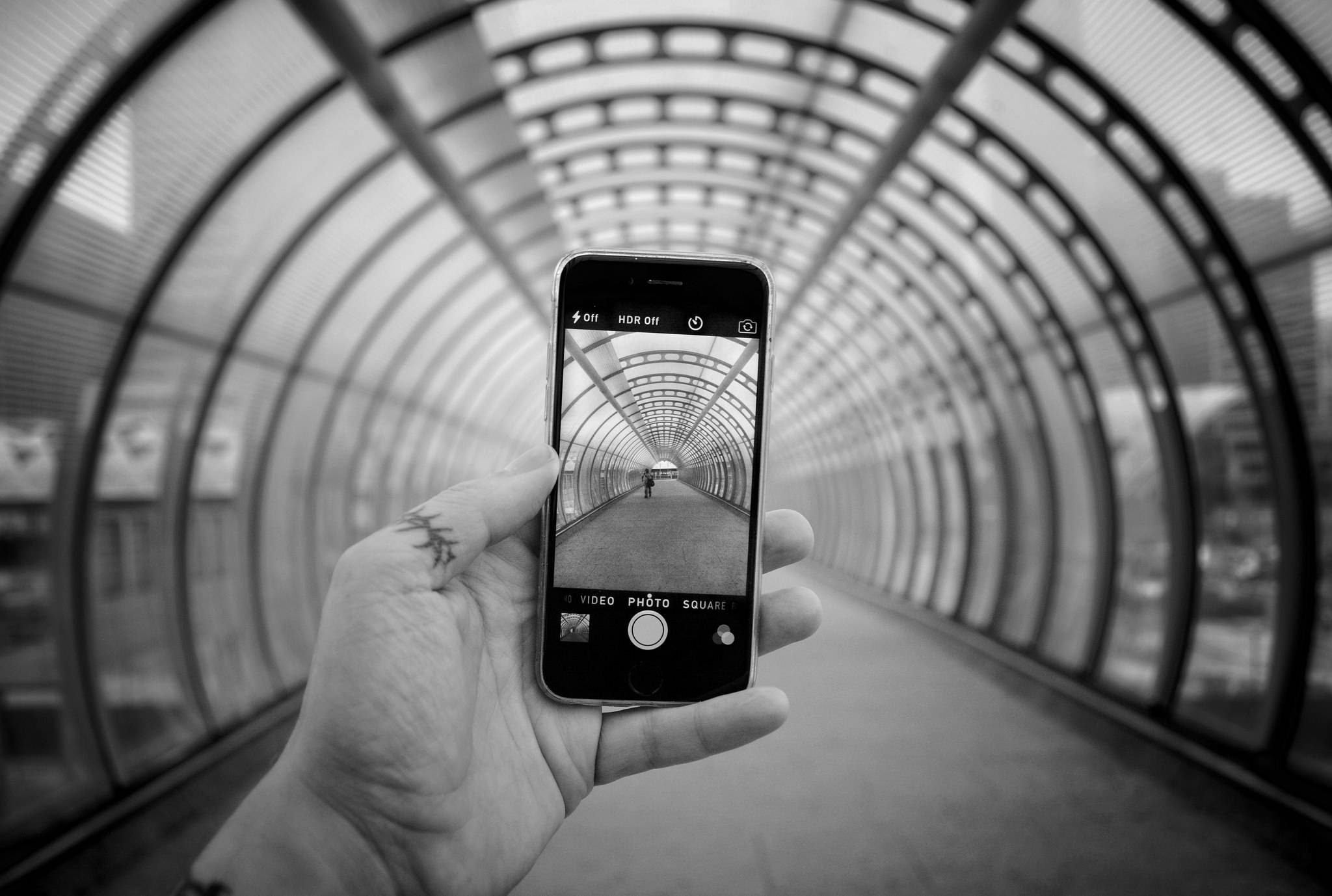 Элегантный серебристый iPhone на фоне спокойного цветочного сада Обои