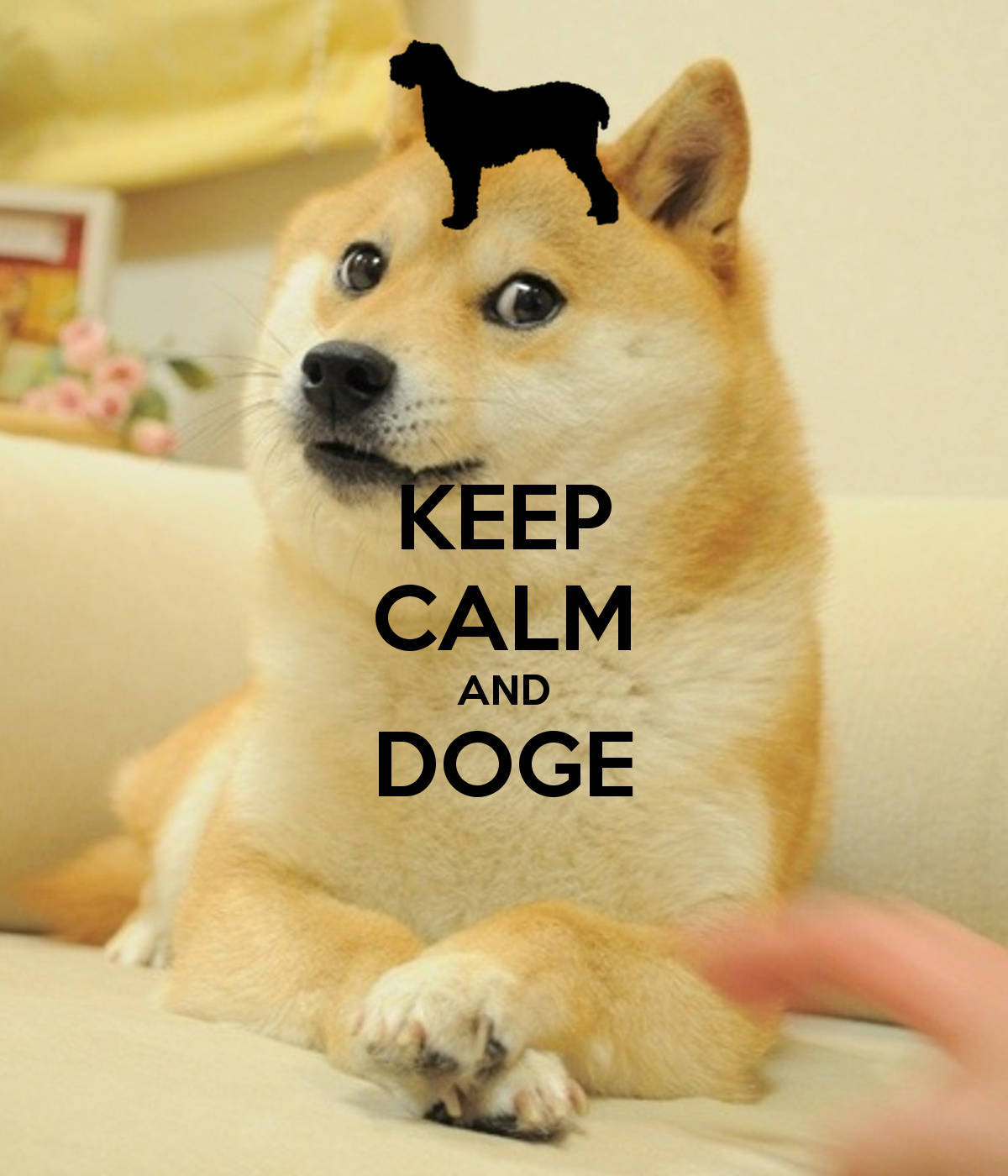 Keep Calm and Doge On! Обои