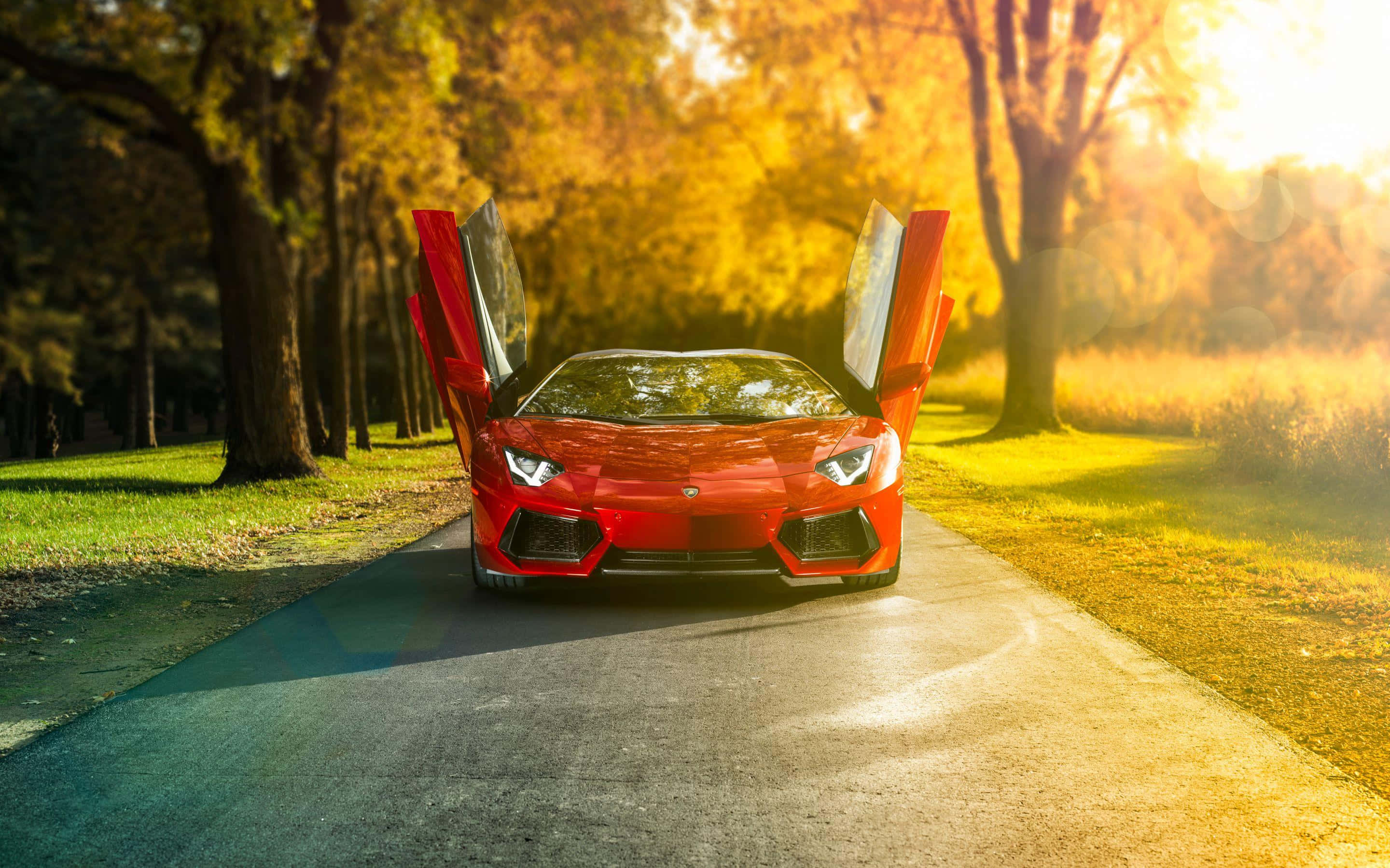 Открытые двери Lamborghini Aventador Обои