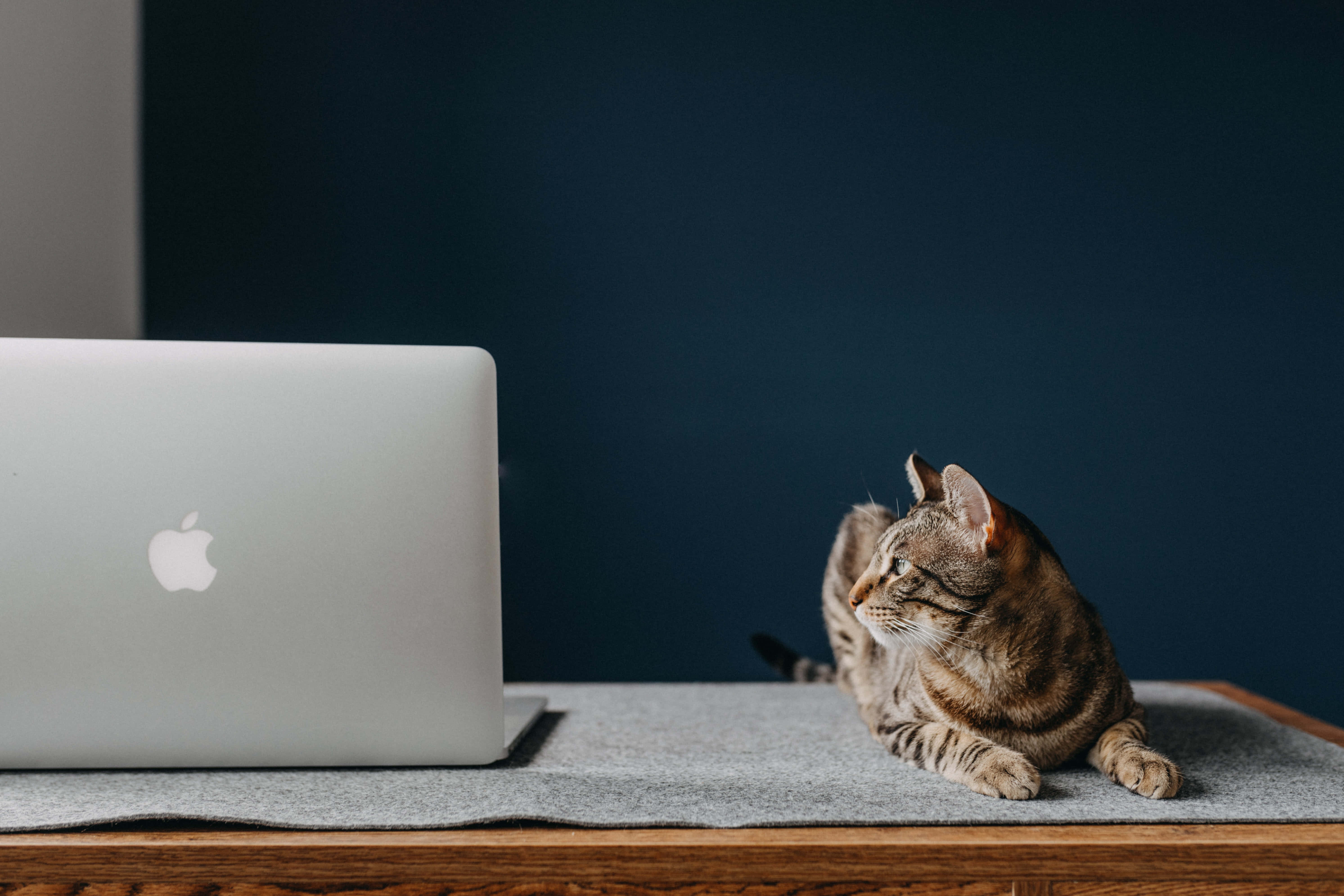 Классический ноутбук MacBook с минималистичным дизайном Обои