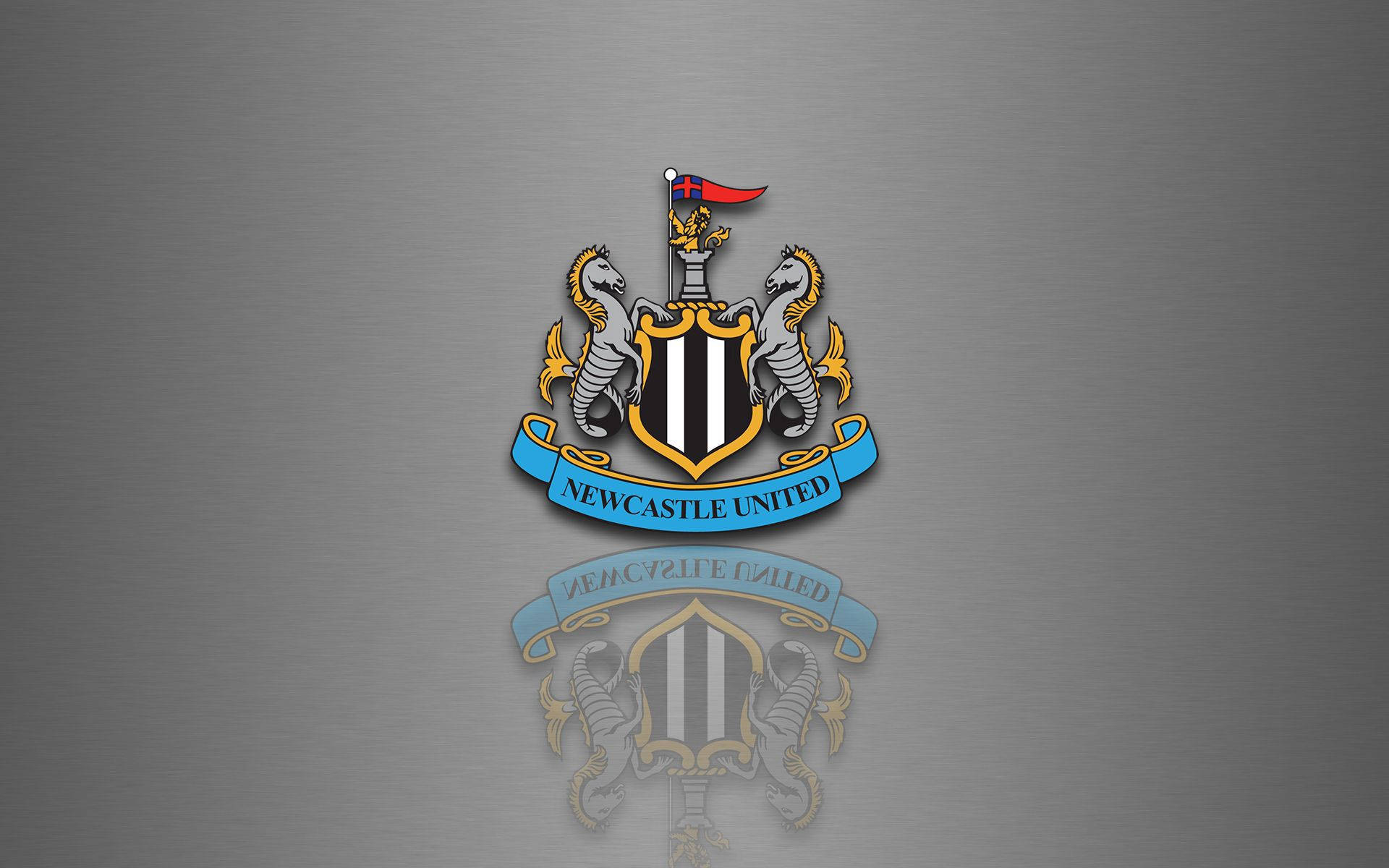 Ревеющая толпа наблюдает, как Newcastle United F.C. выходит на поле! Обои